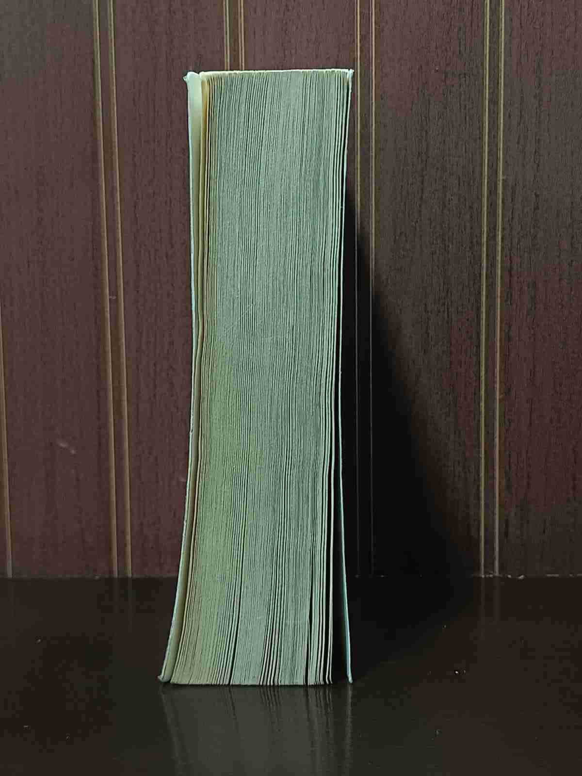 Libro Cementerio de Animales - miniatura 3