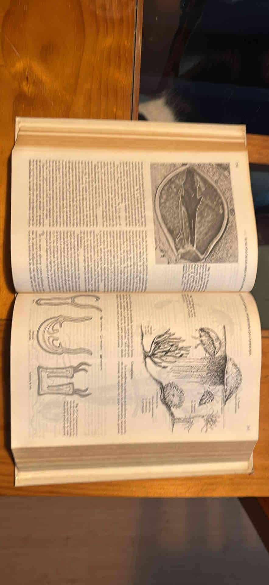 Libro Biología Séptima Edición villee - miniatura 2