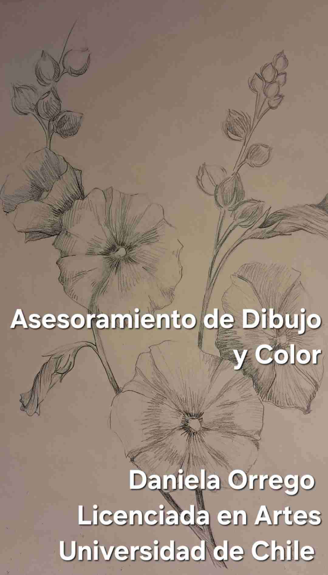 Curso de Dibujo y Color