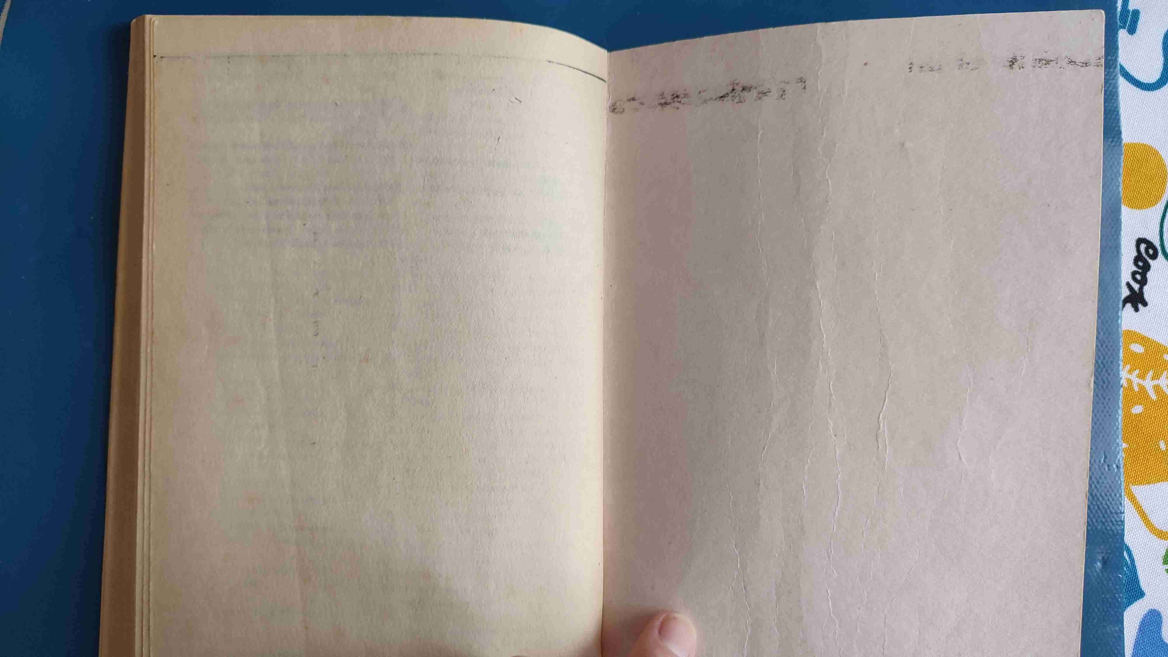 Libro Fantasmas de día - Lucía Baquedano - miniatura 5