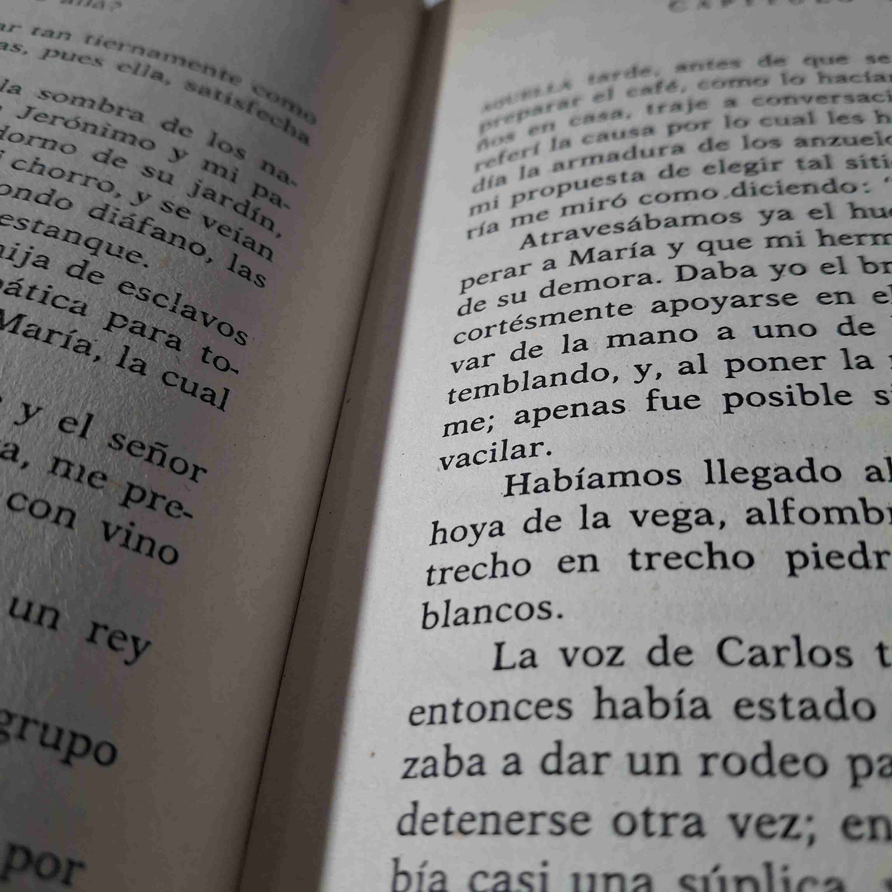 Libro María de Jorge Isaacs - miniatura 5