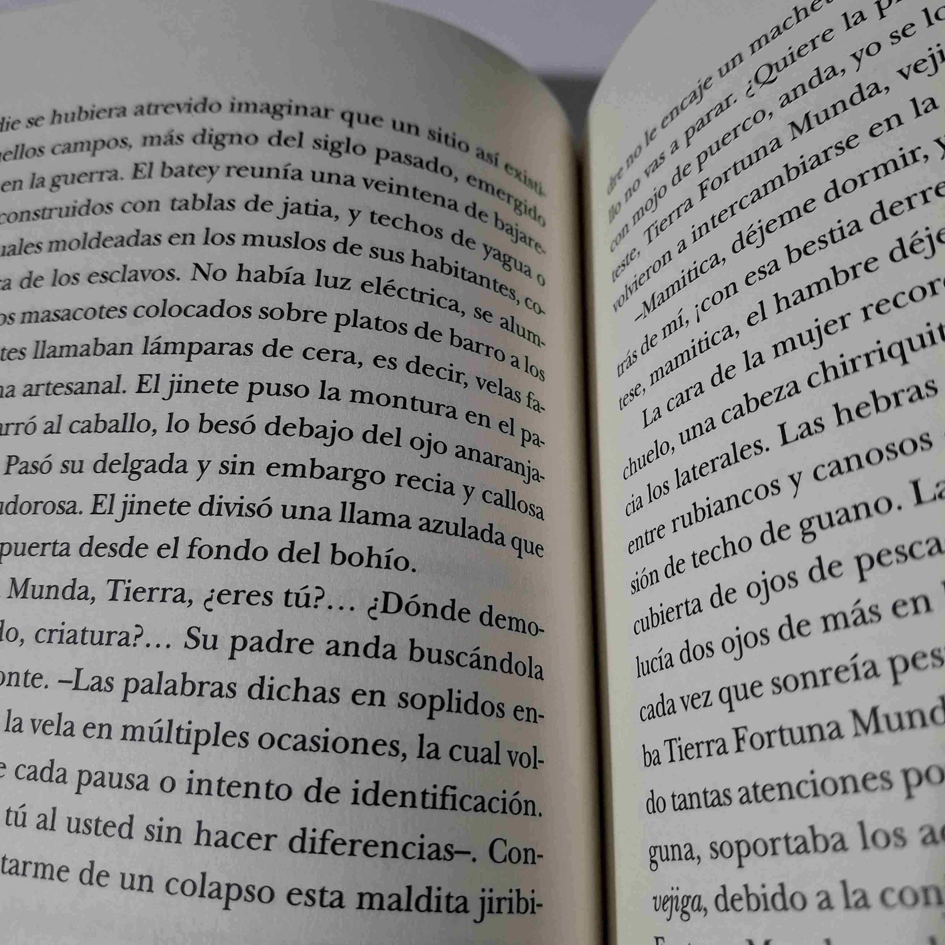 Libro Zoé Valdés 'Querido primer novio' - miniatura 5