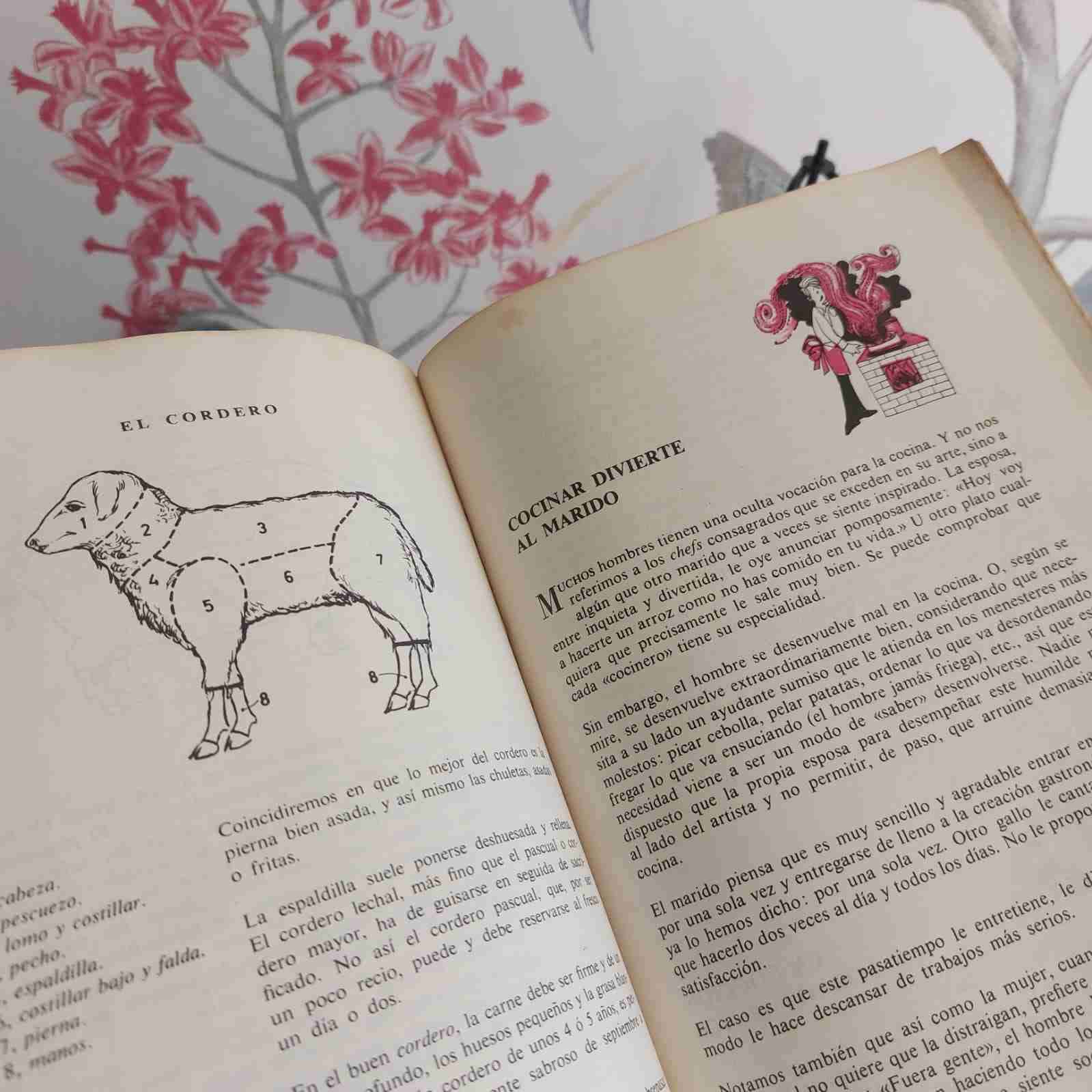 El libro del ama de casa 1969 - miniatura 5