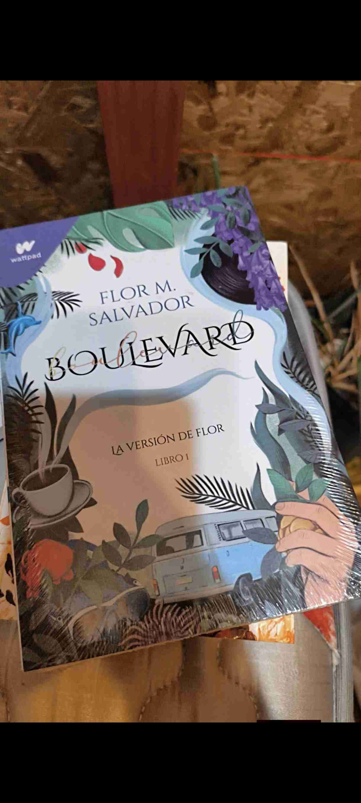 Libros 'Boulevard' Flor M. Salvador