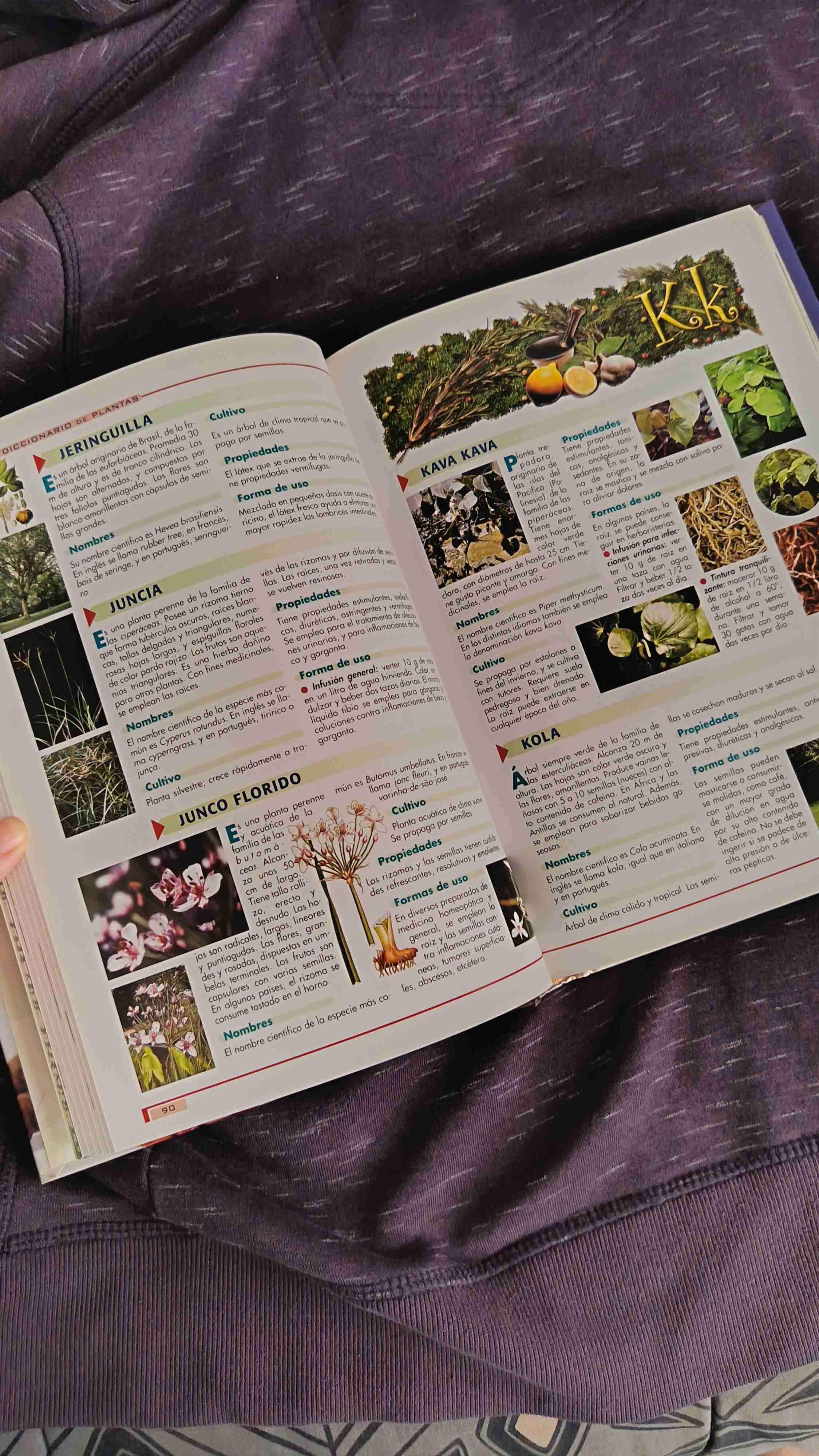Libro Las Plantas Curativas - miniatura 2