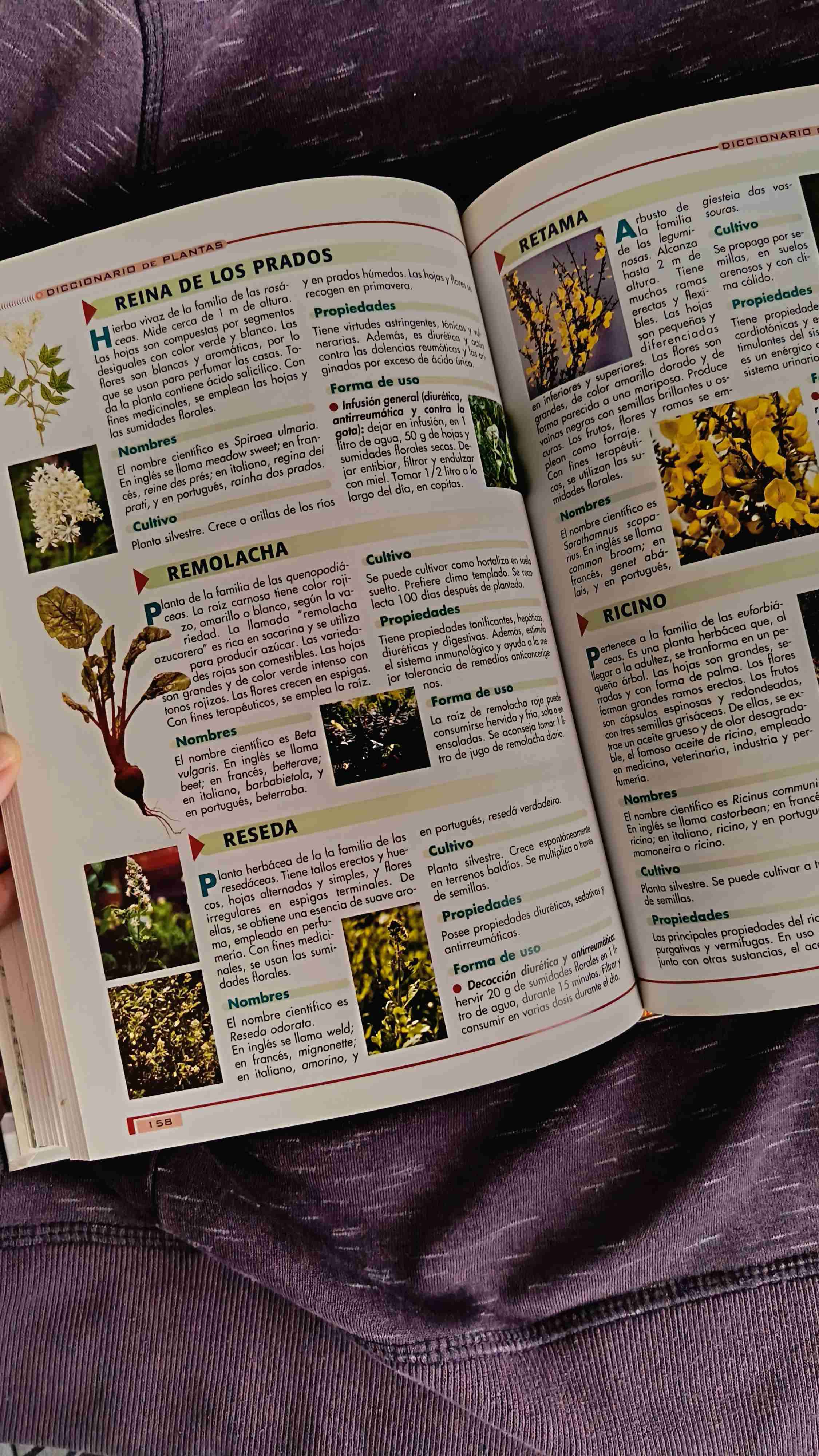 Libro Las Plantas Curativas - miniatura 4
