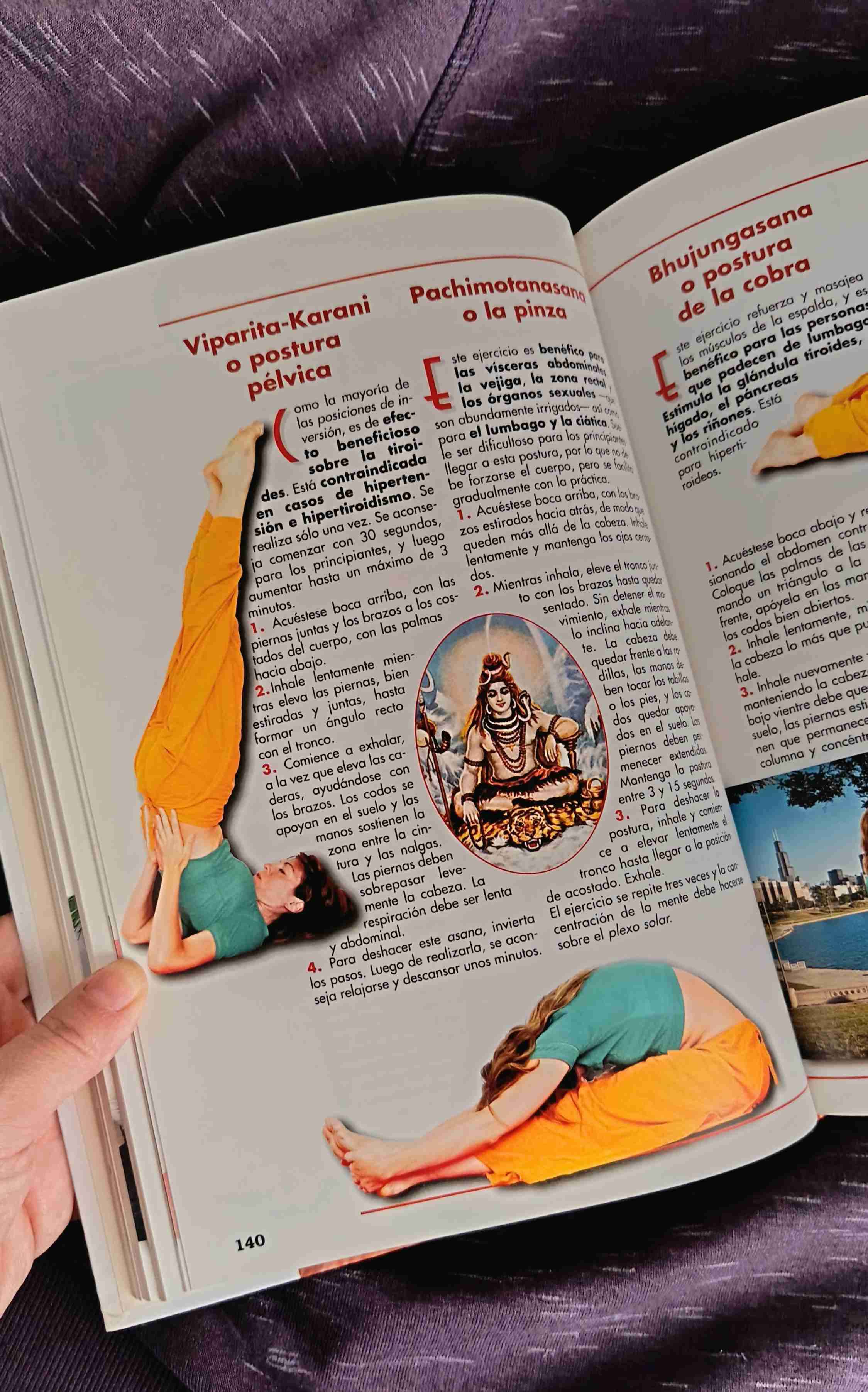 Libro Las Terapias Alternativas - miniatura 2