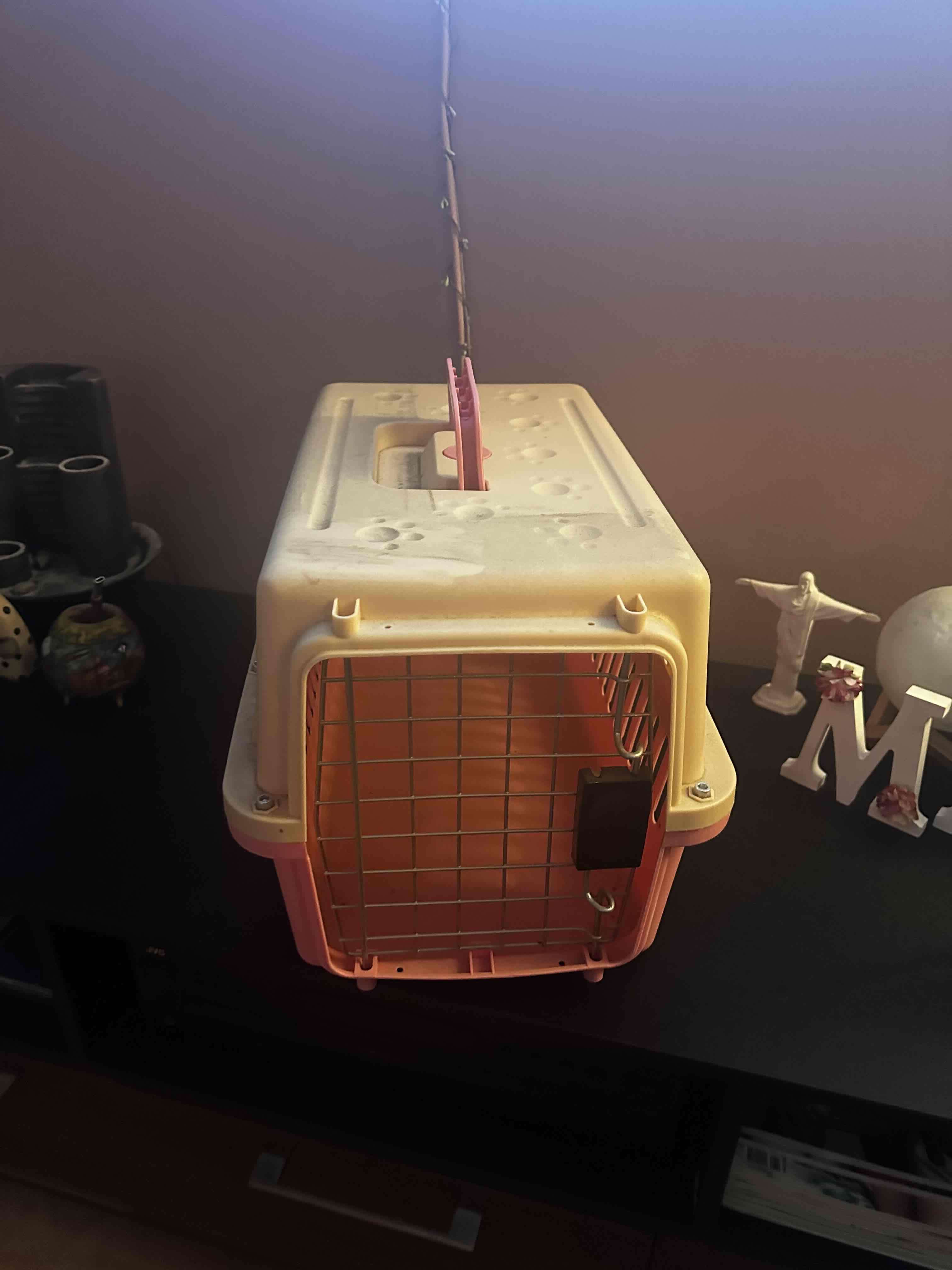 Transportadora de mascotas pequeña - miniatura 5