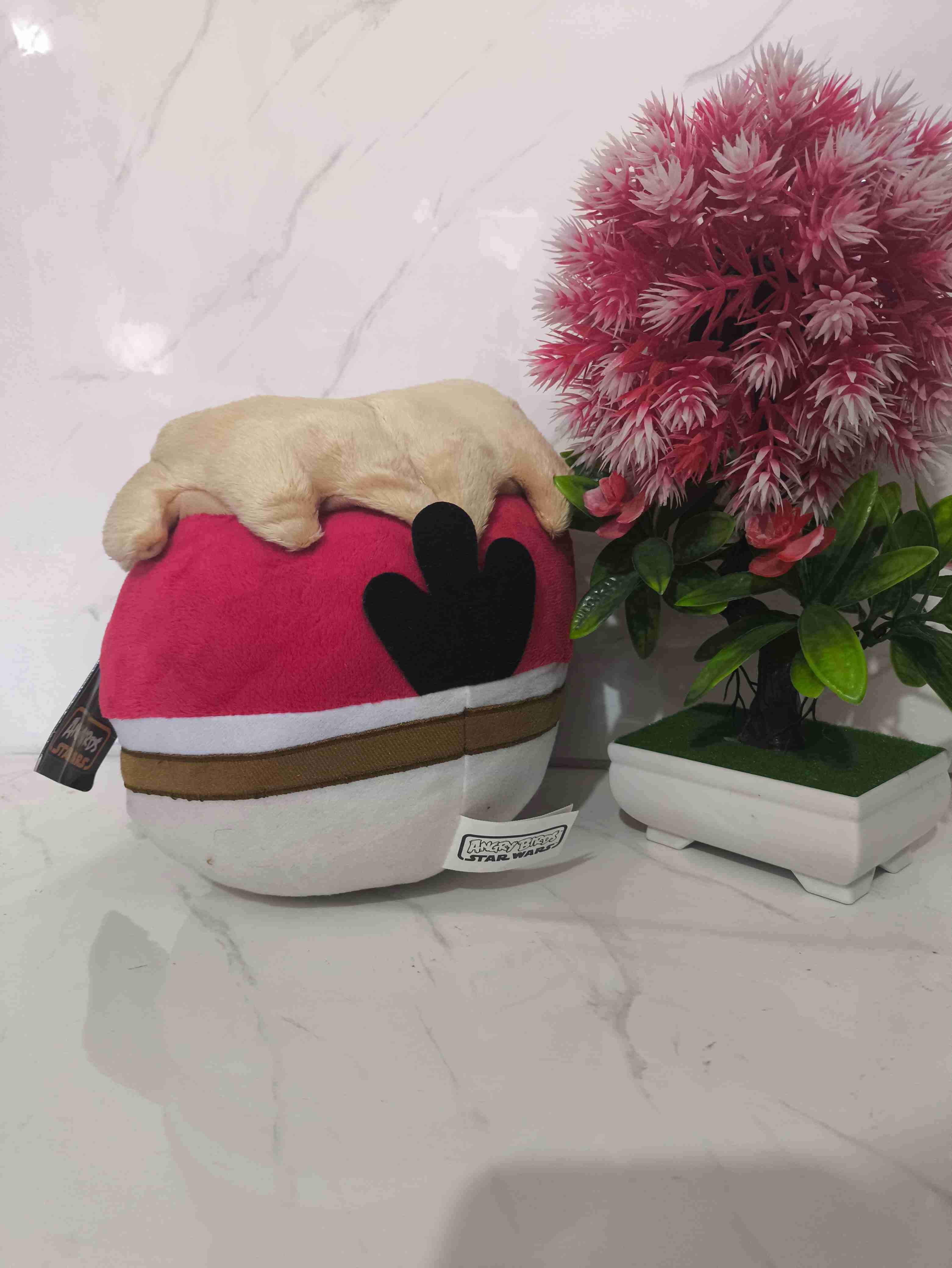 Peluche Angry Birds Star Wars - miniatura 4