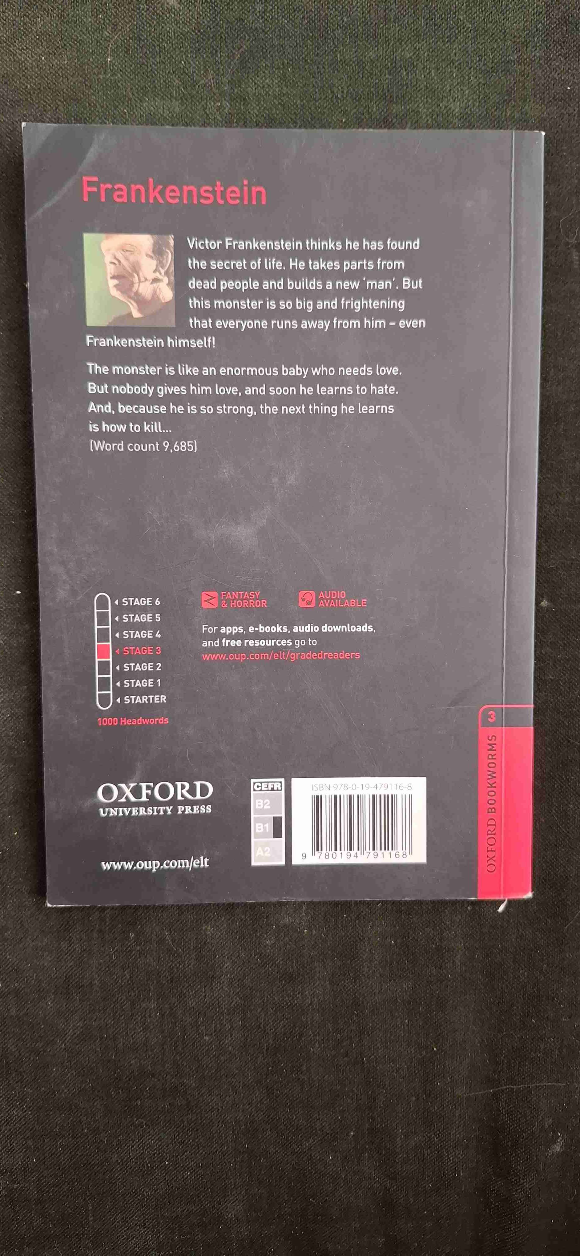 Libro Frankenstein Mary Shelley - miniatura 2