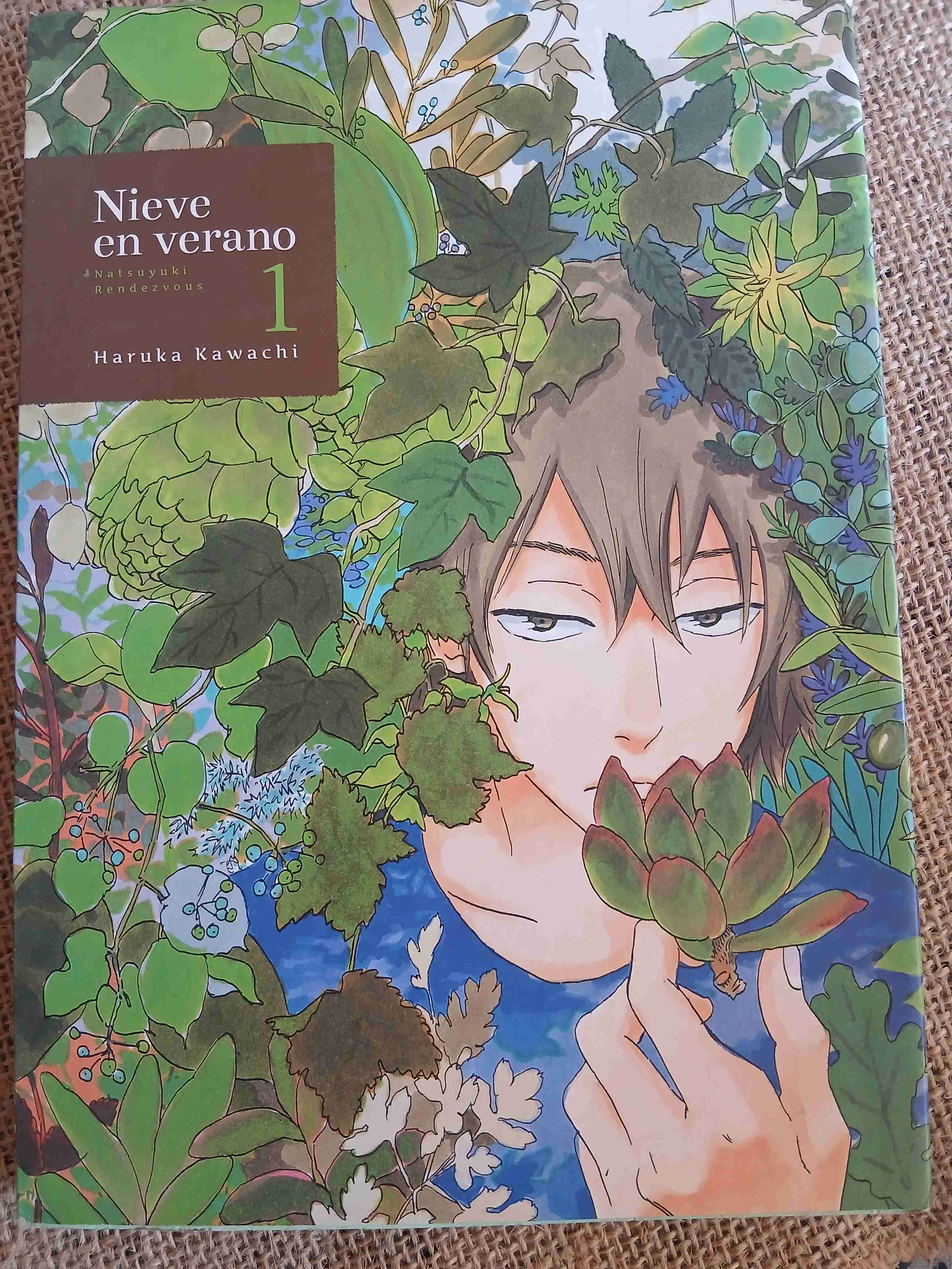 Manga 'Nieve en verano' Volumen 1