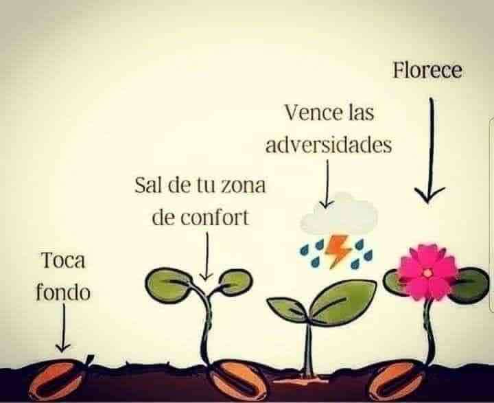 Psicóloga/ psicoterapia clínica - 2