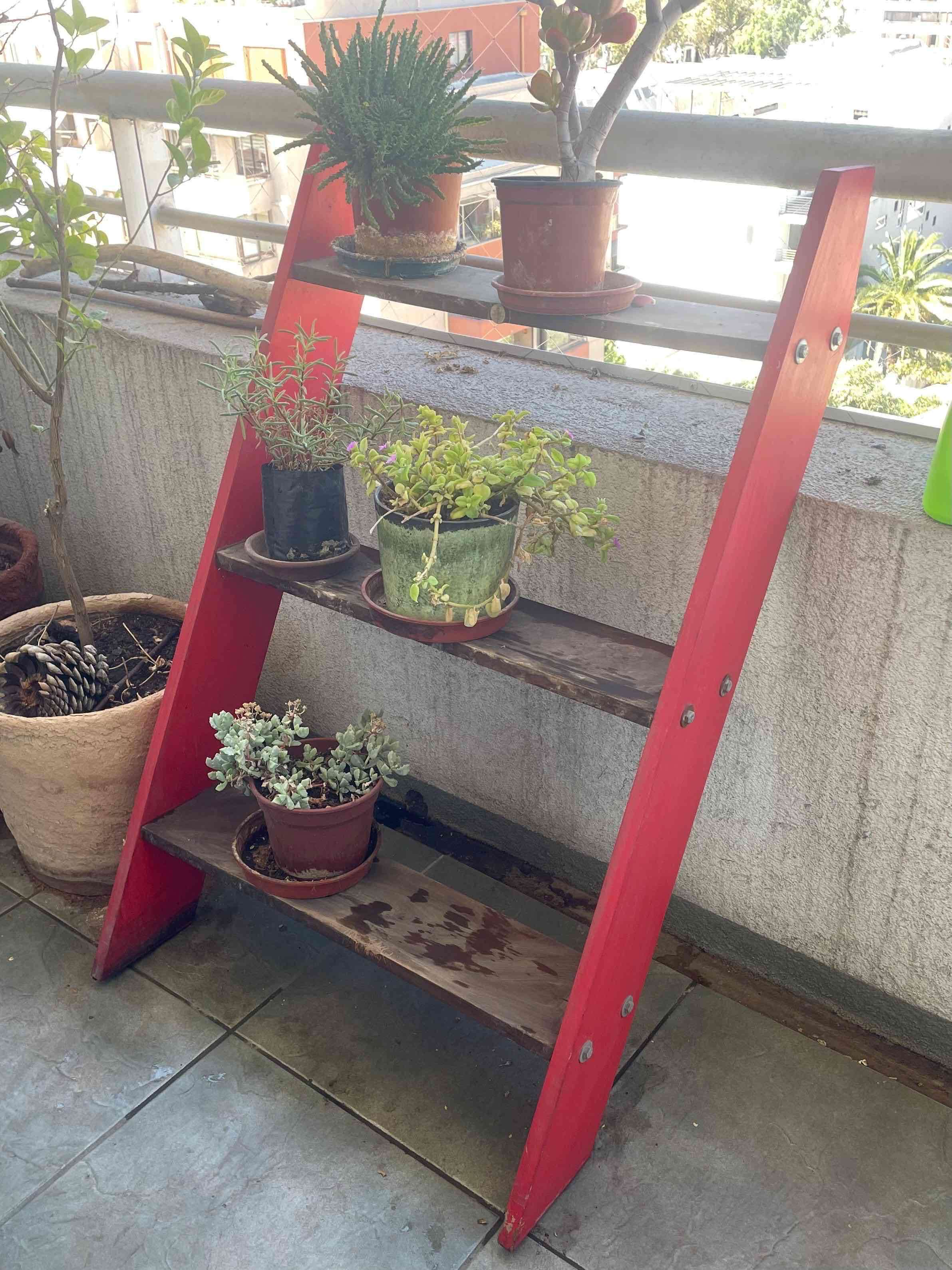 Estante de madera para plantas - miniatura 2