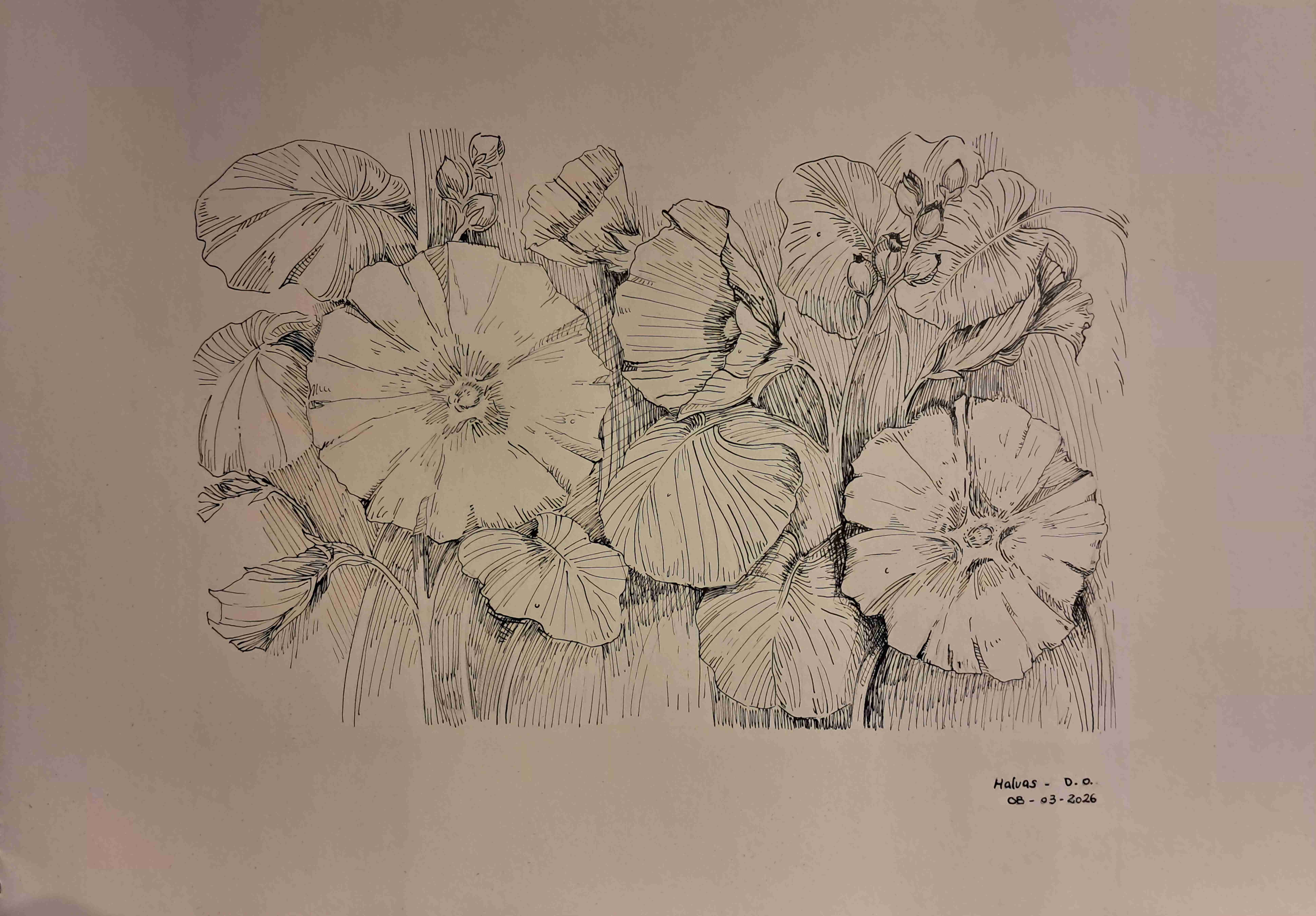 Dibujo botánico en papel