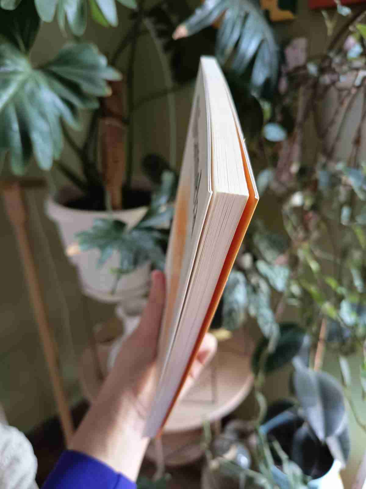 Libro Los Vigilantes, de Diamela Eltit - miniatura 2