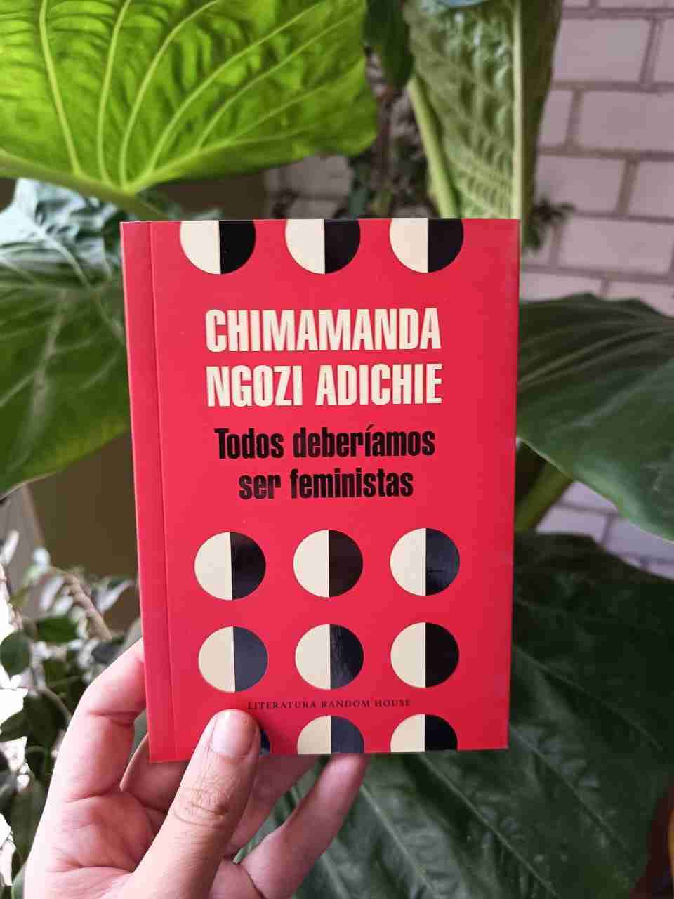 Libro 'Todos deberíamos ser feministas'