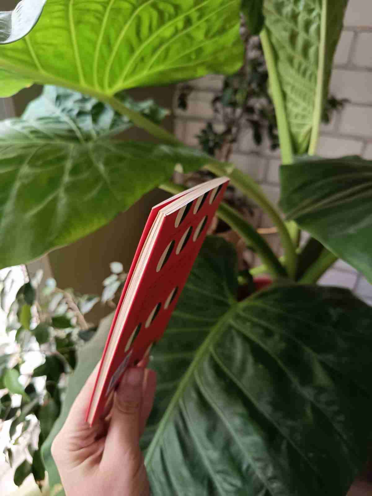 Libro 'Todos deberíamos ser feministas' - miniatura 3