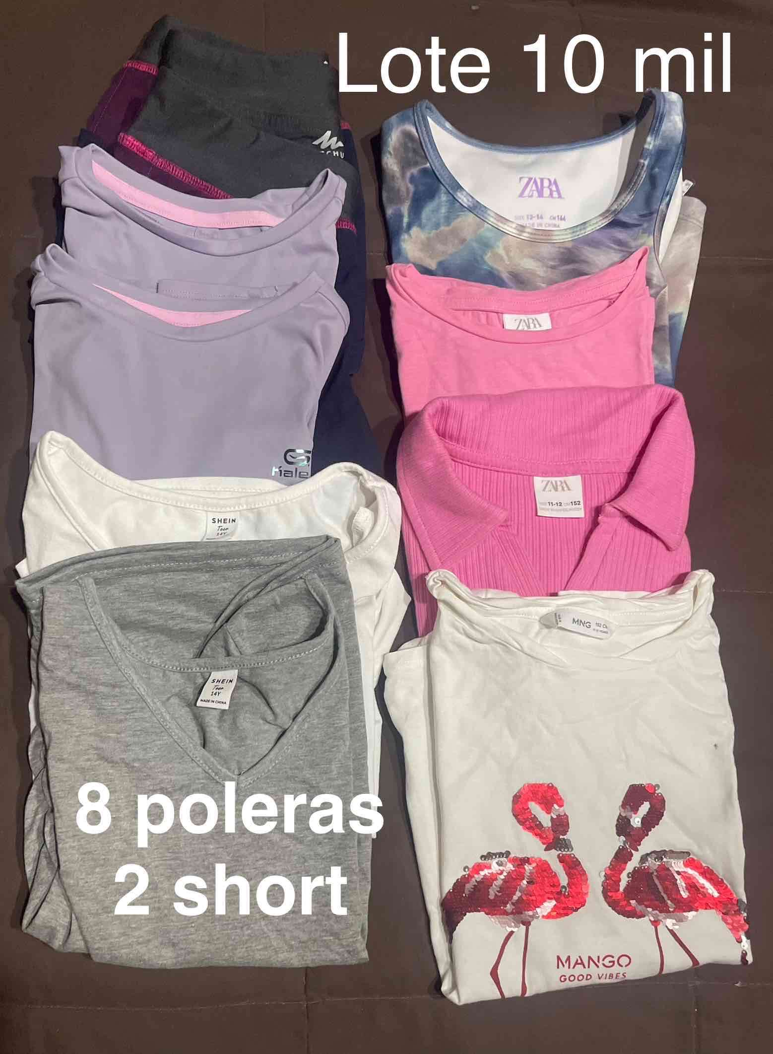 Lote de poleras y shorts variados