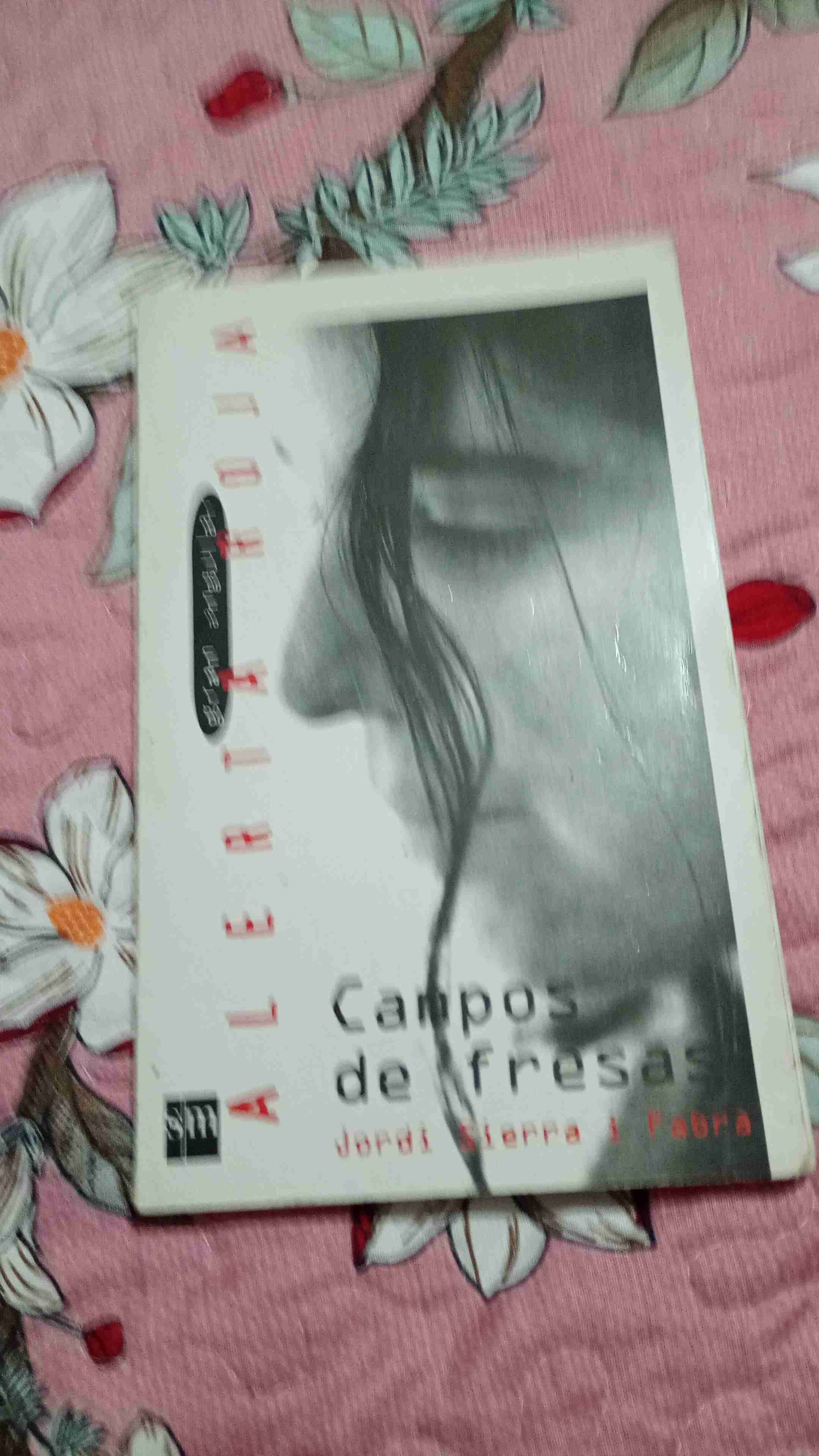 Libro 'Momo' de Michael Ende - miniatura 2