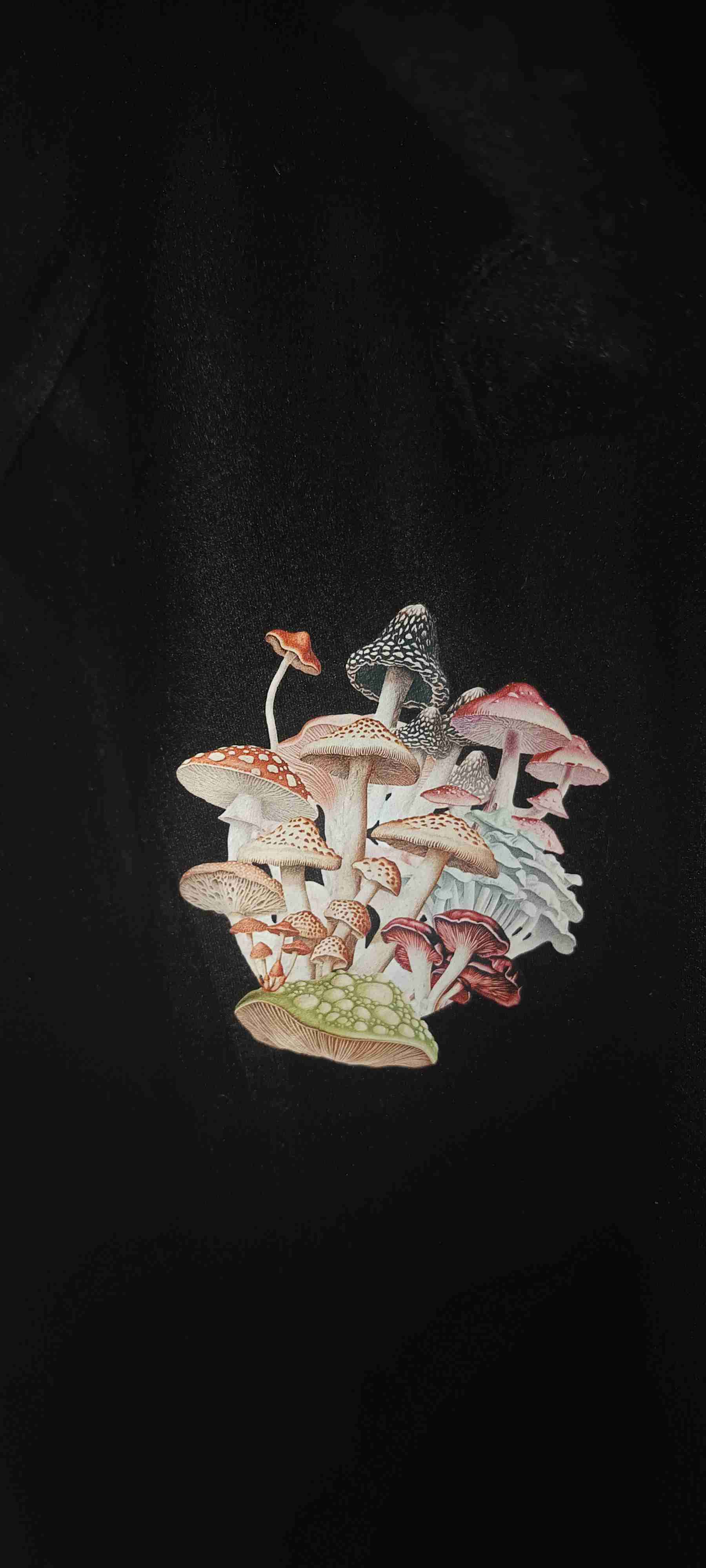 Polerón negro con capucha y diseño - miniatura 5