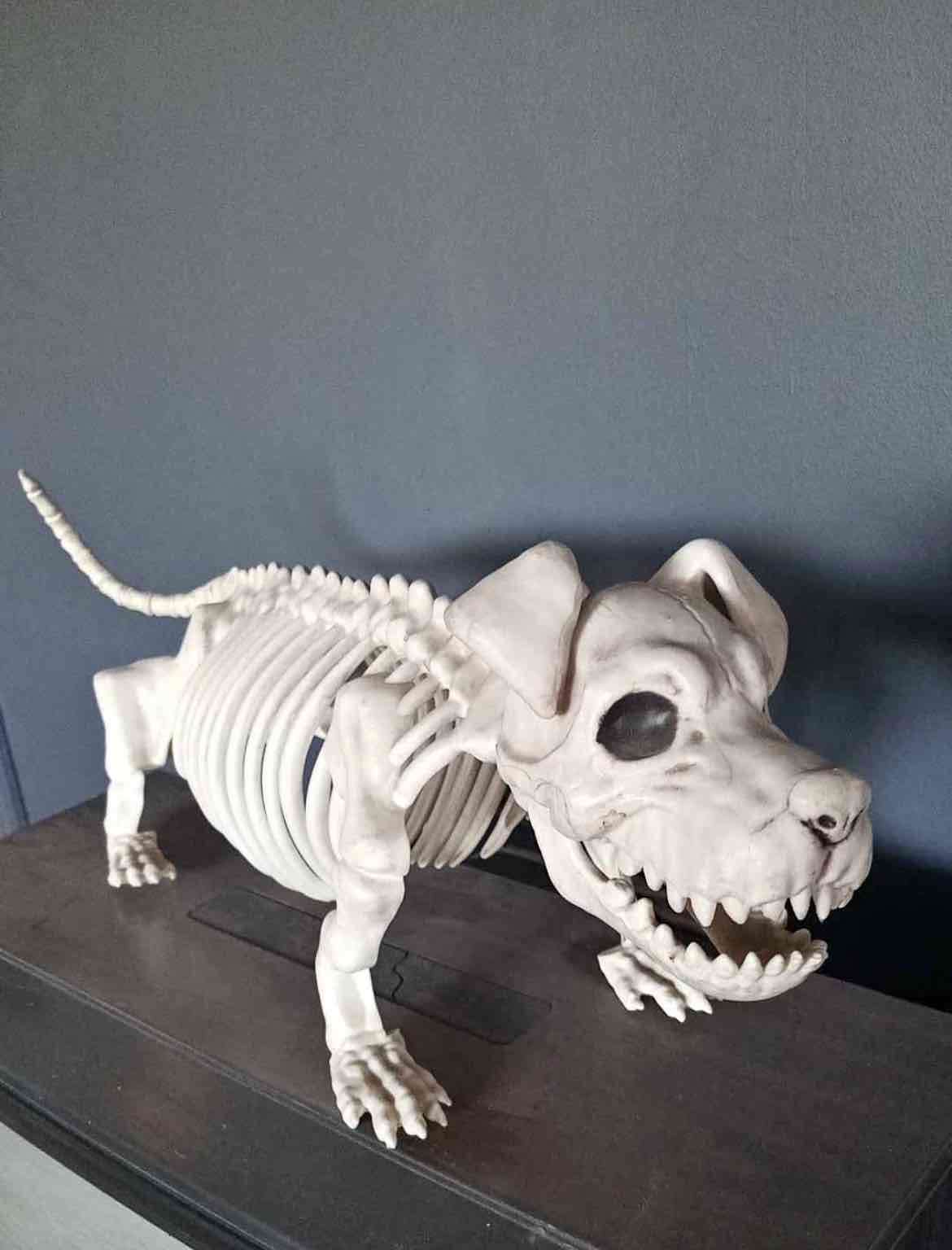 Esqueleto de perro articulado - miniatura 2