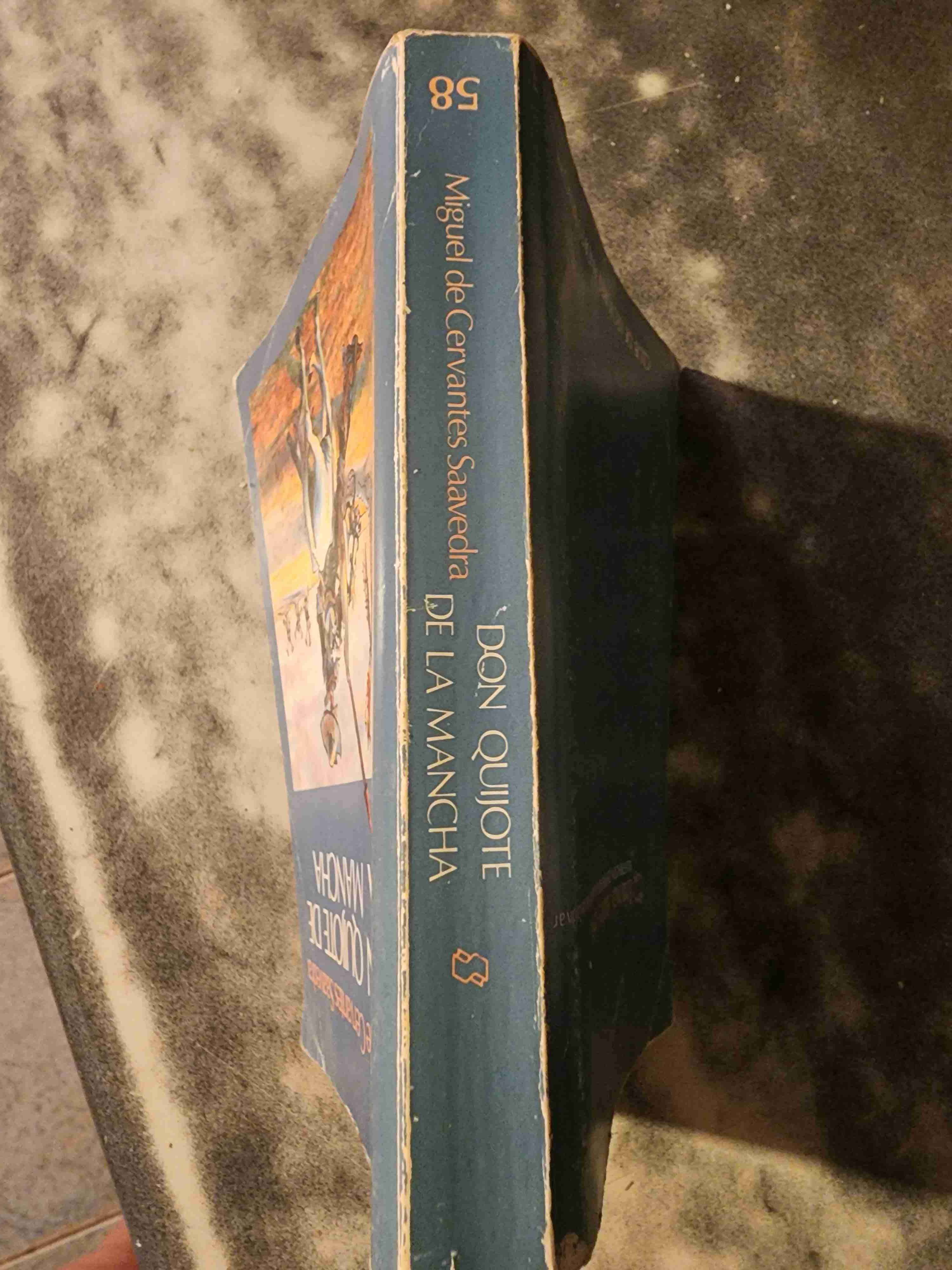 Don Quijote de la Mancha - miniatura 2