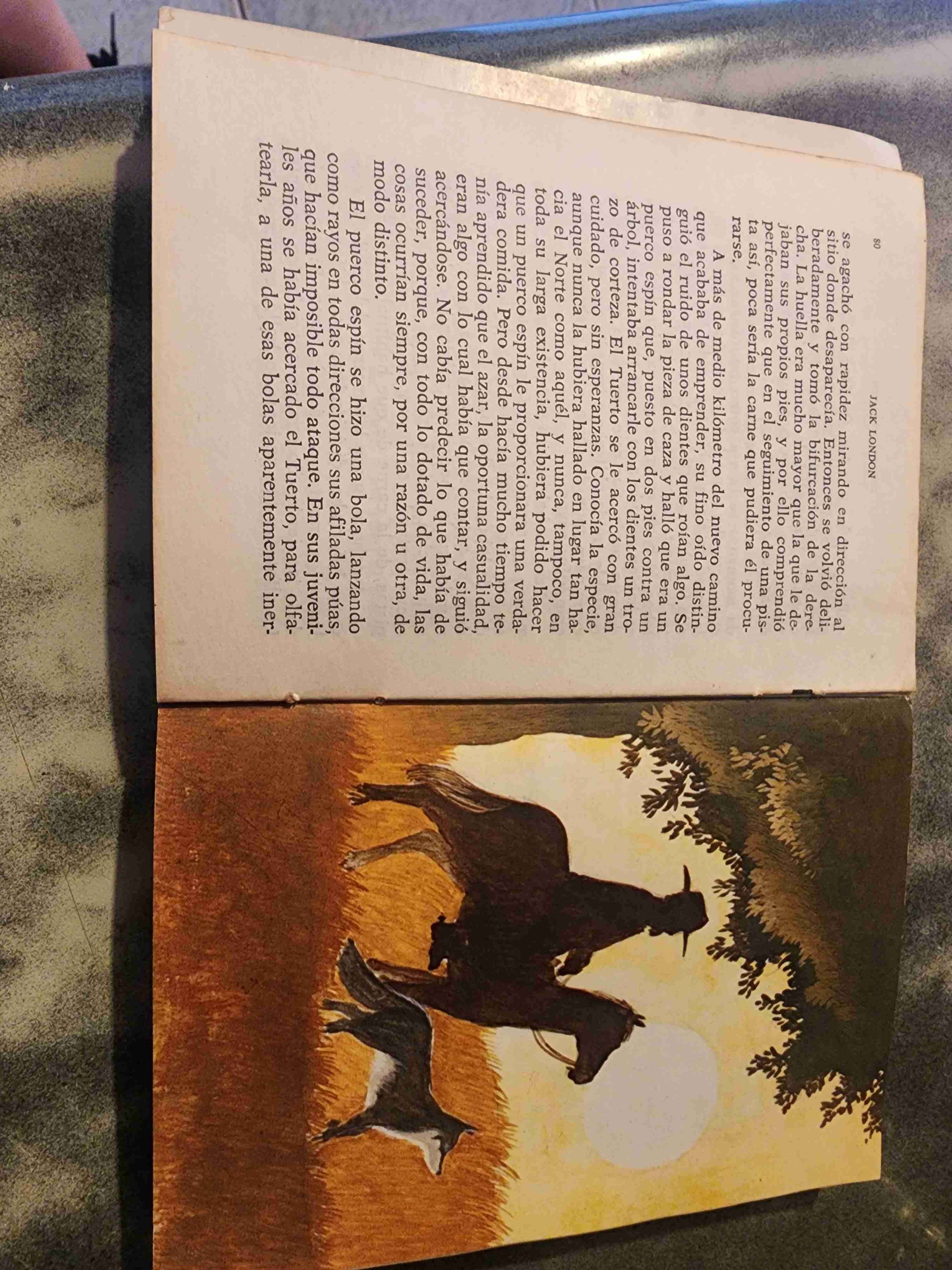 Colmillo Blanco de Jack London - miniatura 2