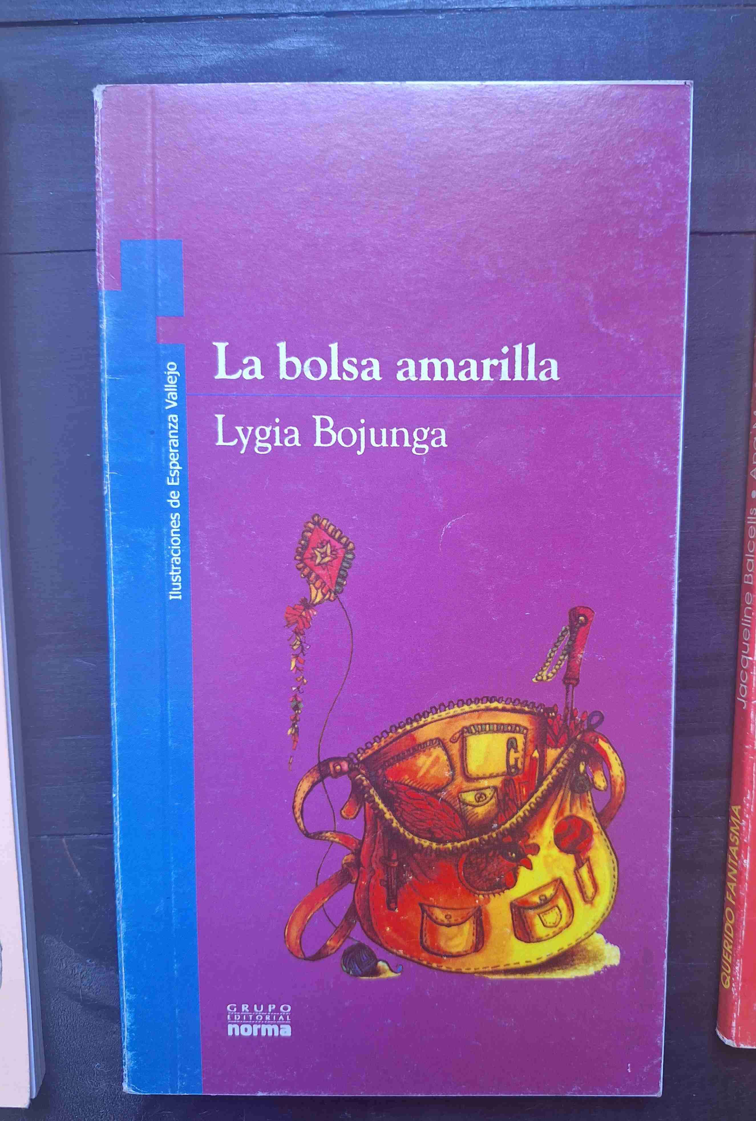 Libro La bolsa amarilla