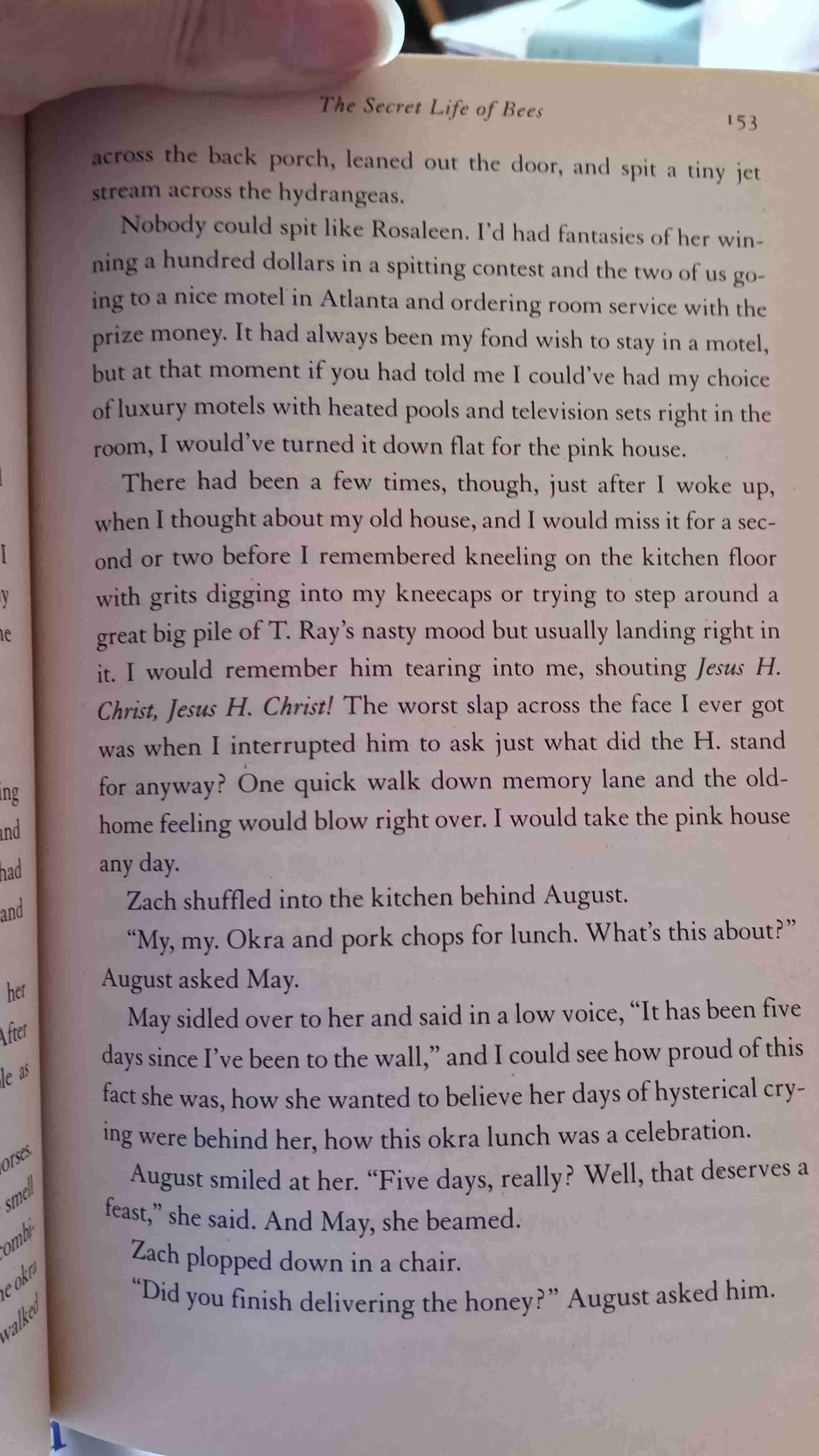 The Secret Life of Bees, en inglés/in English - miniatura 2