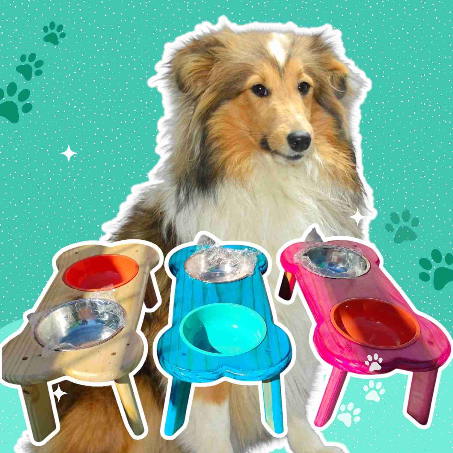 Comederos elevados para mascotas