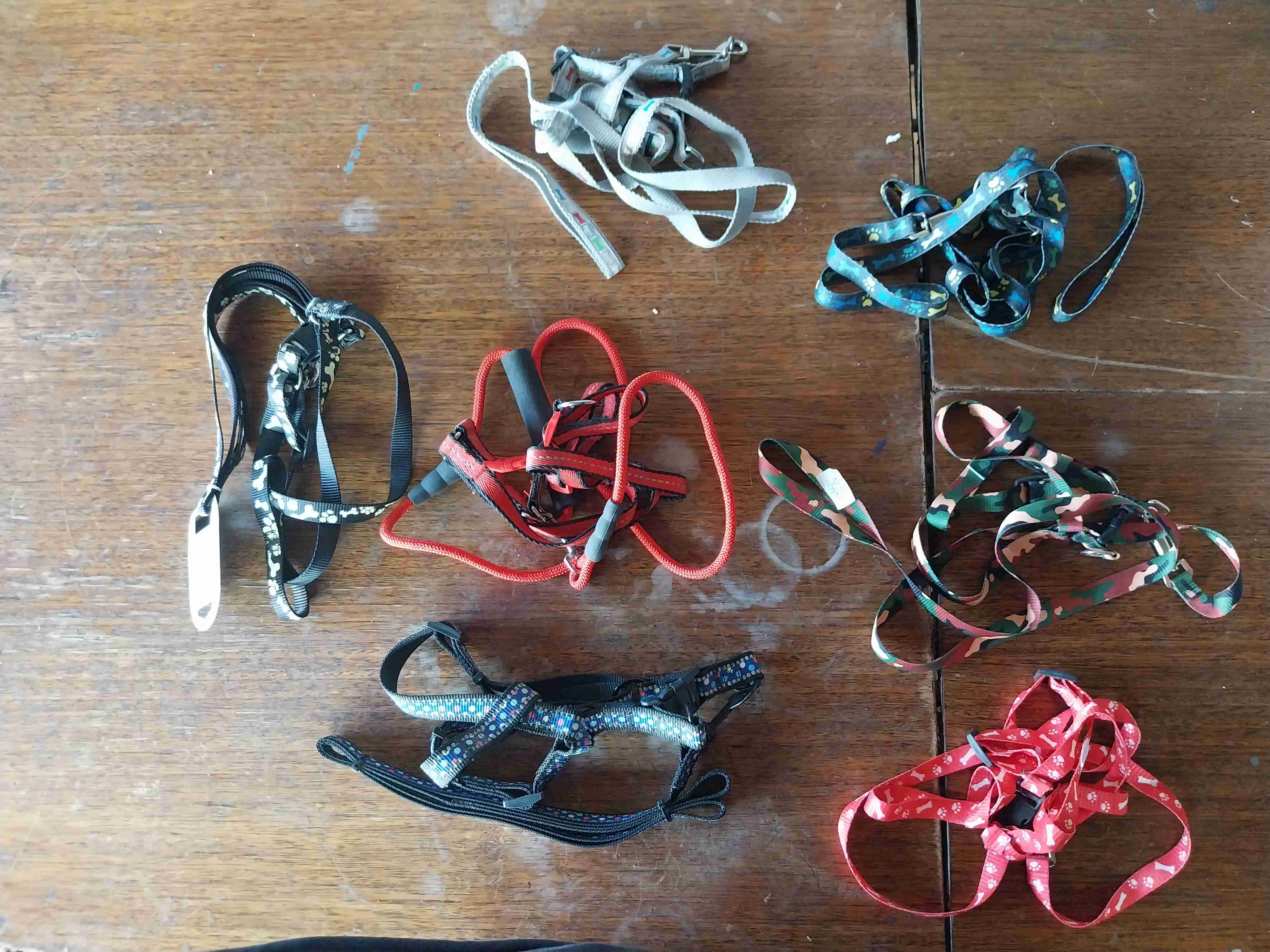 accesorios para mascotas - miniatura 4