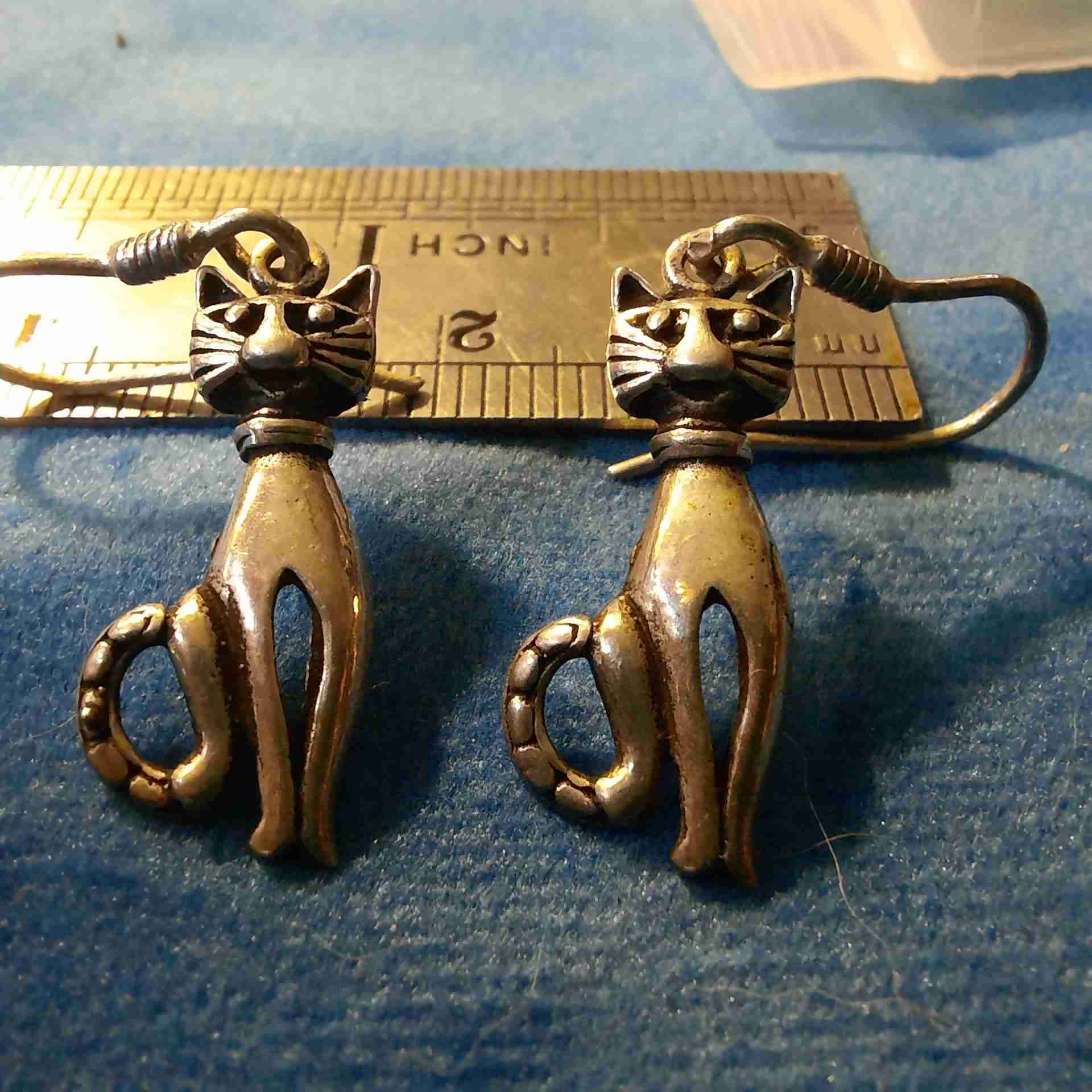 Aros de gato en plata