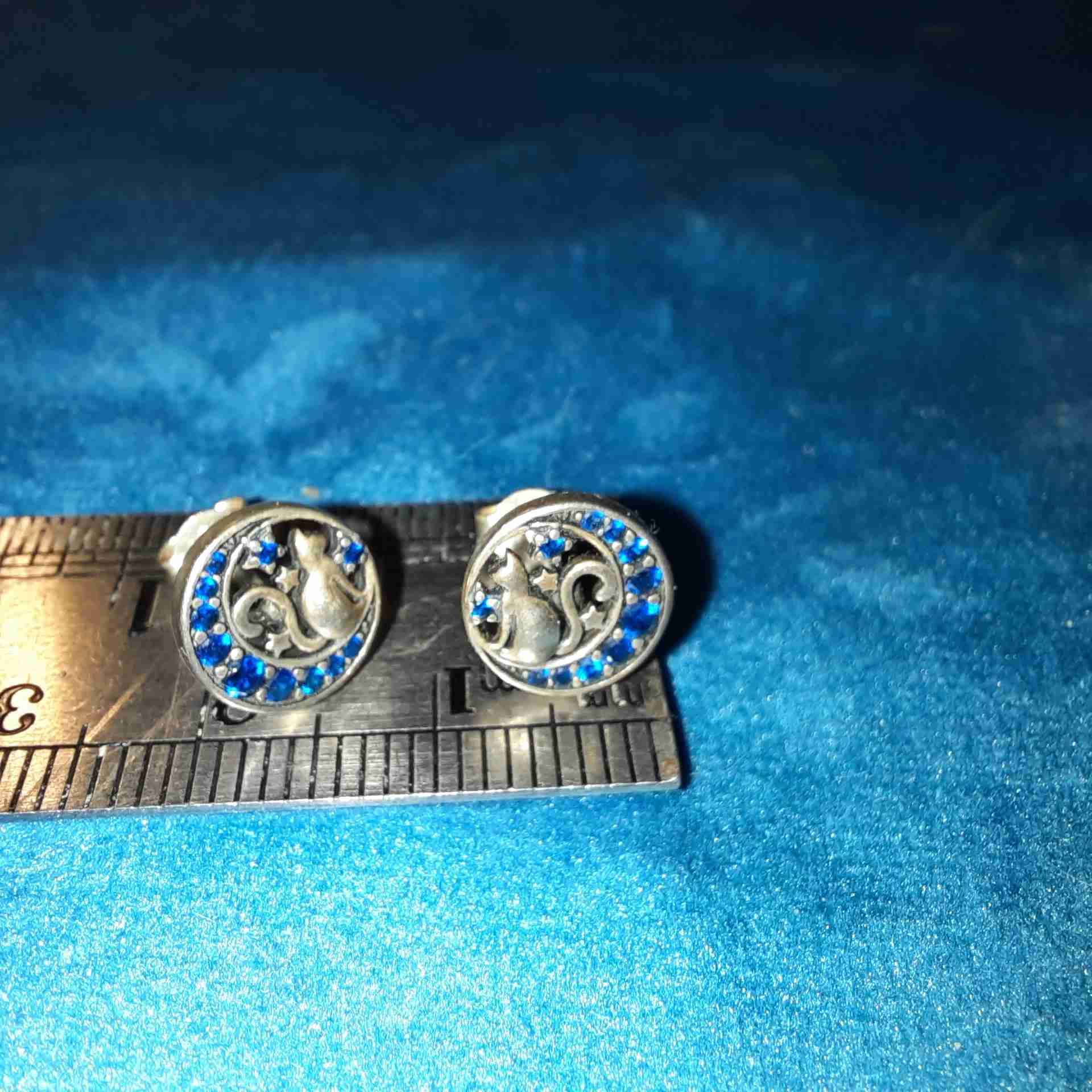 Aros de plata con forma de  gato en la Luna