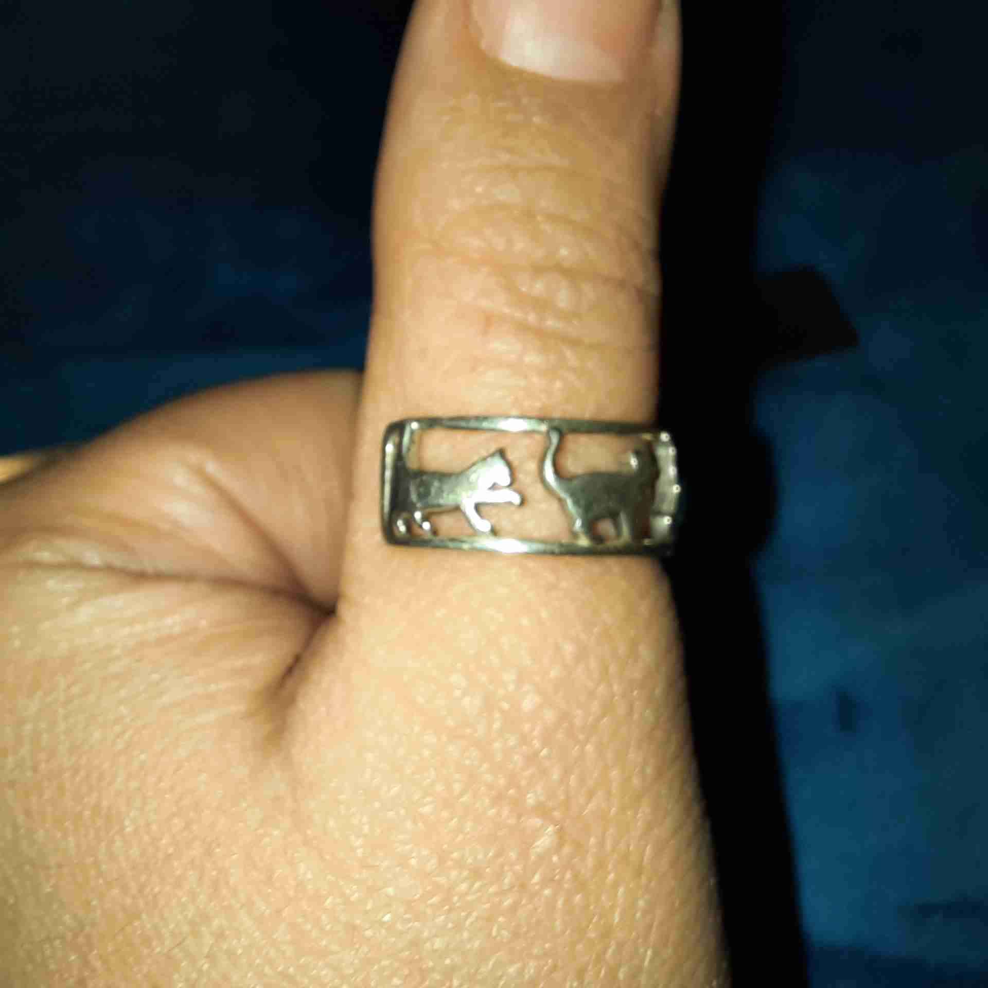Anillo abierto de gatos
