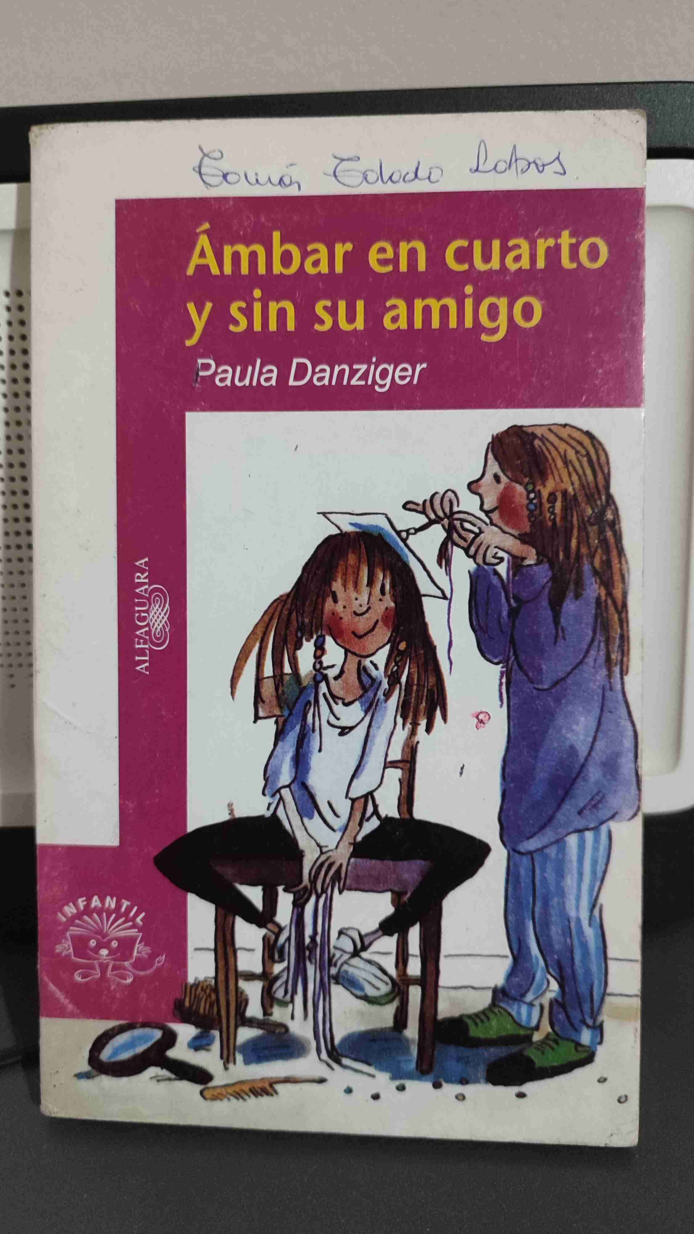 Libro Ámbar en cuarto y sin su amigo