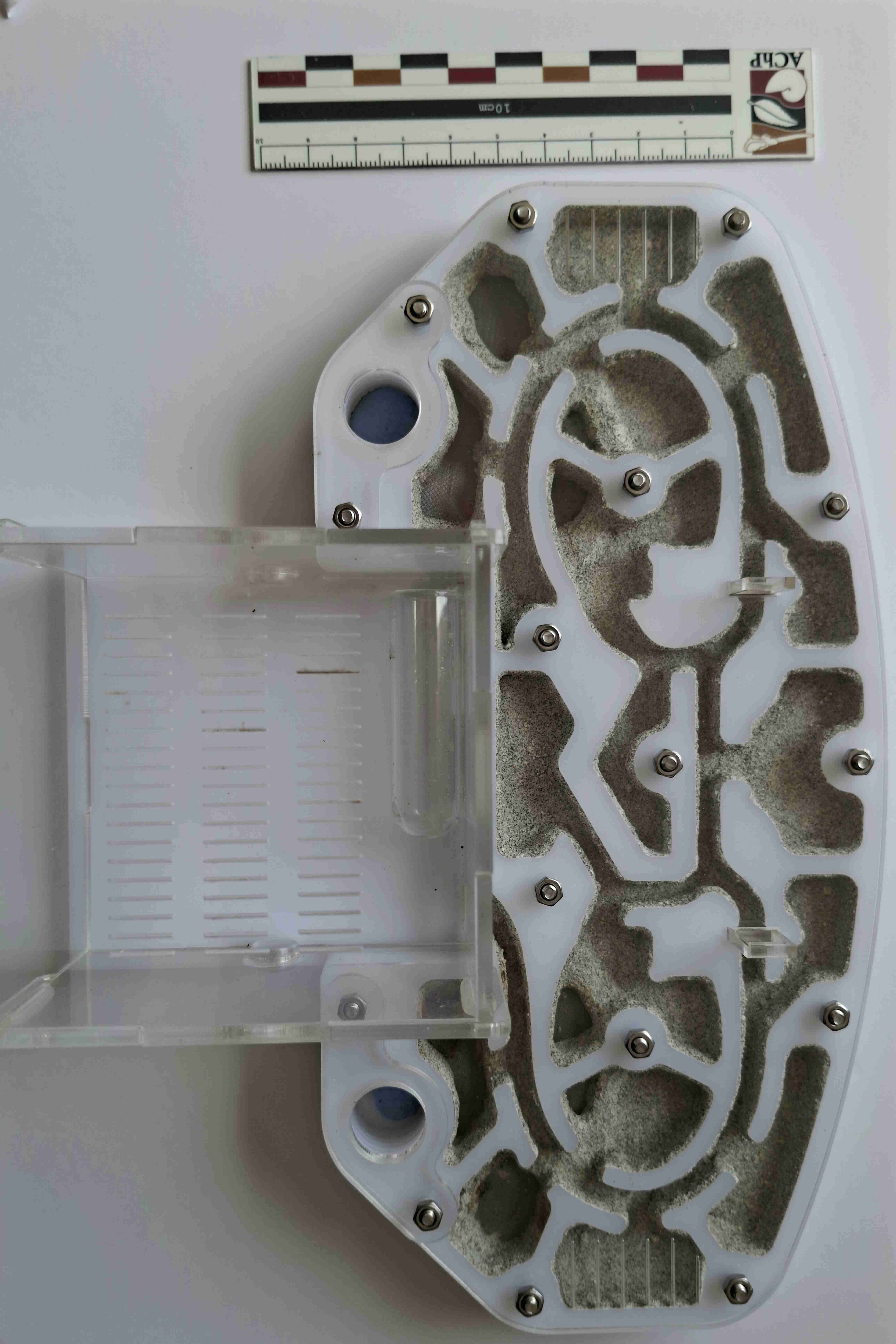 Hormiguero acrilico - miniatura 2