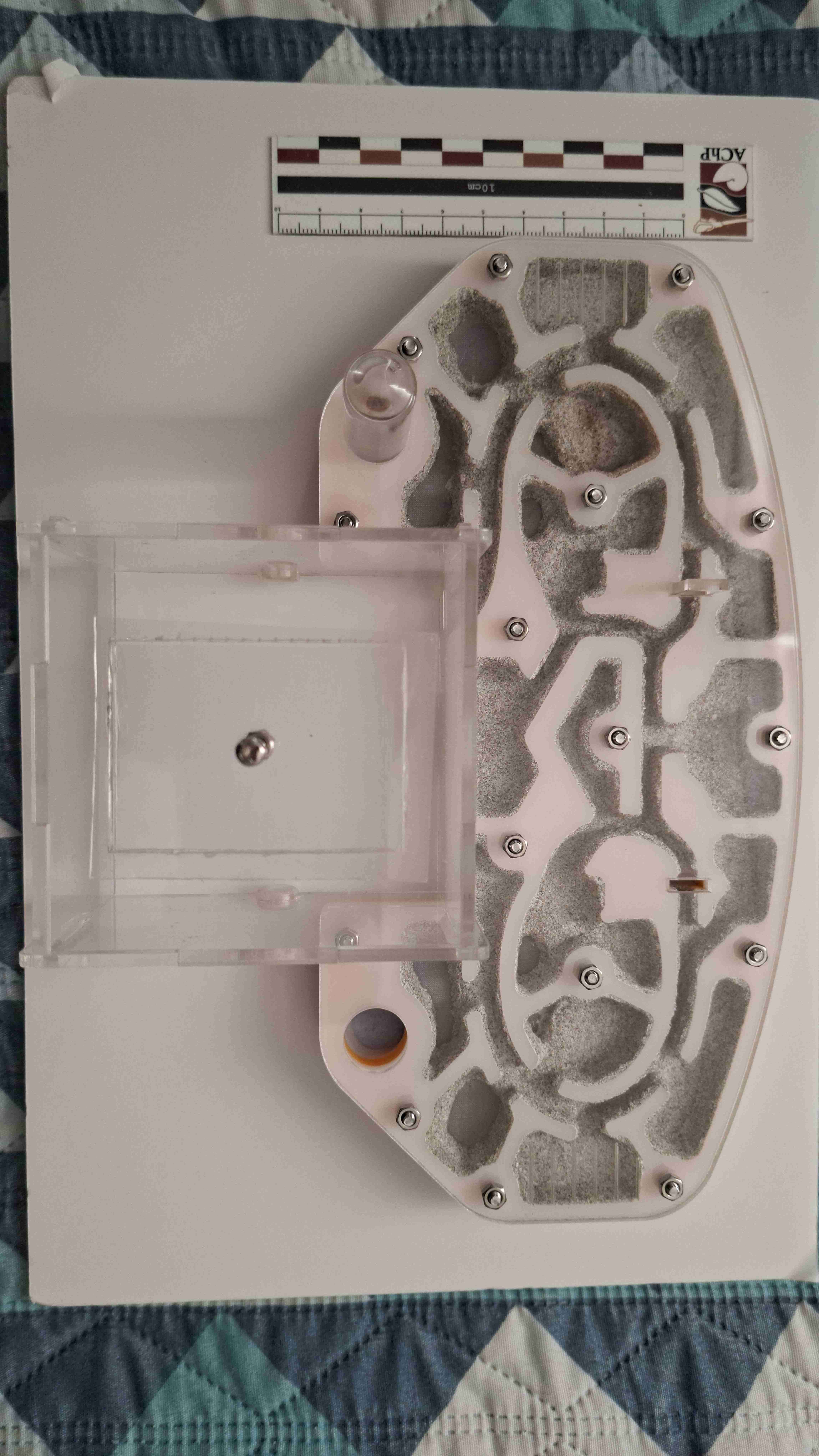 Hormiguero acrilico - miniatura 2