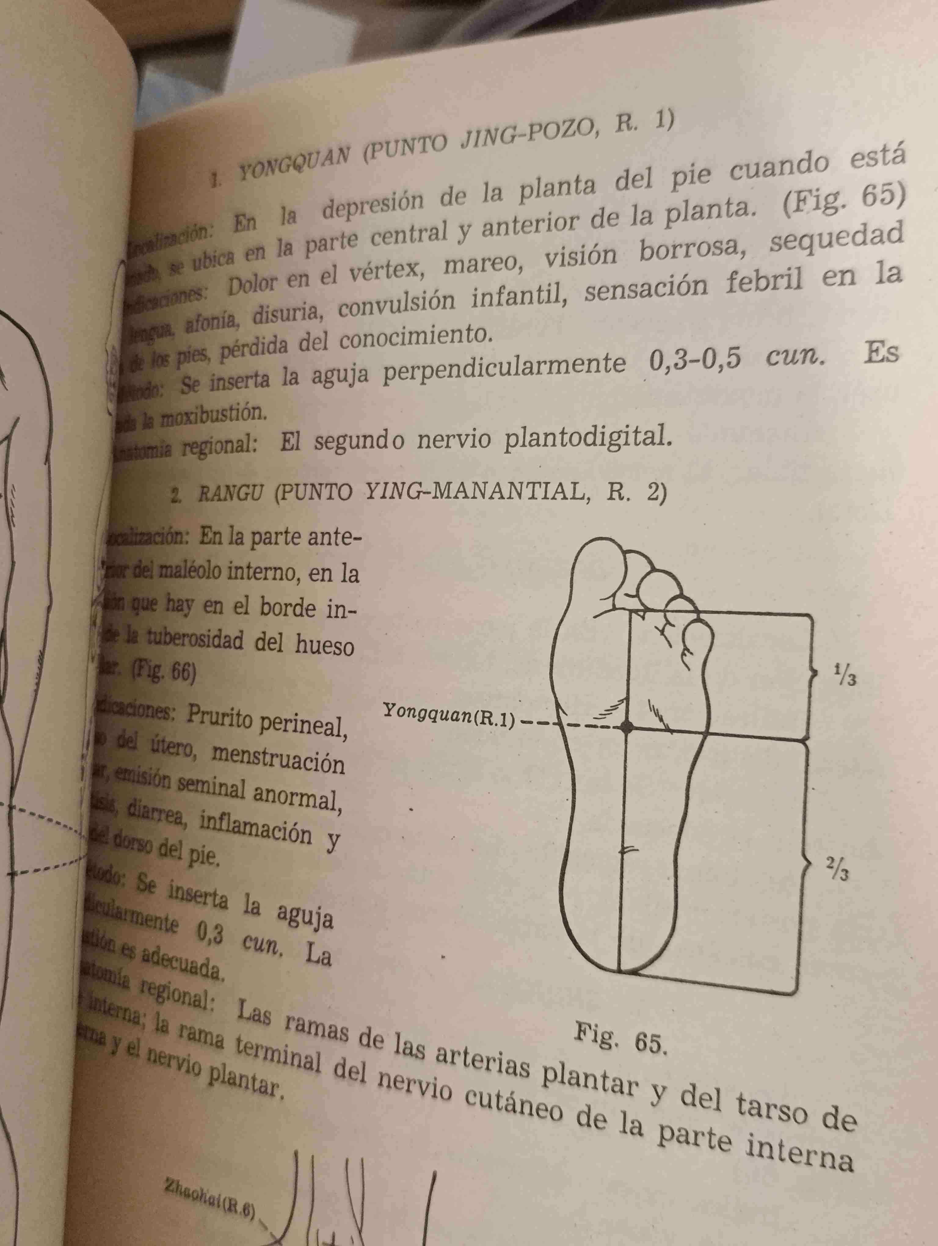 Fundamentos de acupuntura y moxibustion de China - miniatura 3