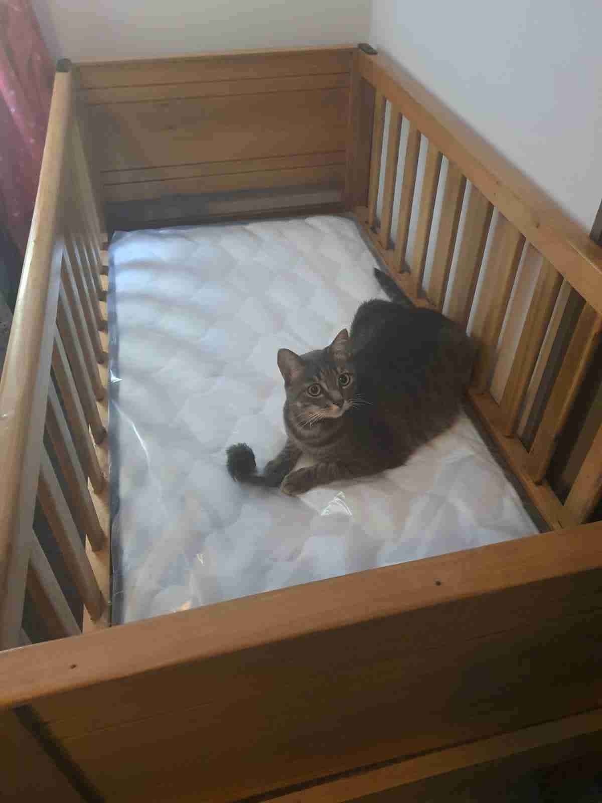 Cuna de madera para bebé - miniatura 2