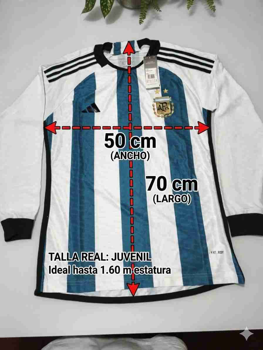 Camisetas Argentina 2 Estrellas Modelo Qatar 2022 - miniatura 2