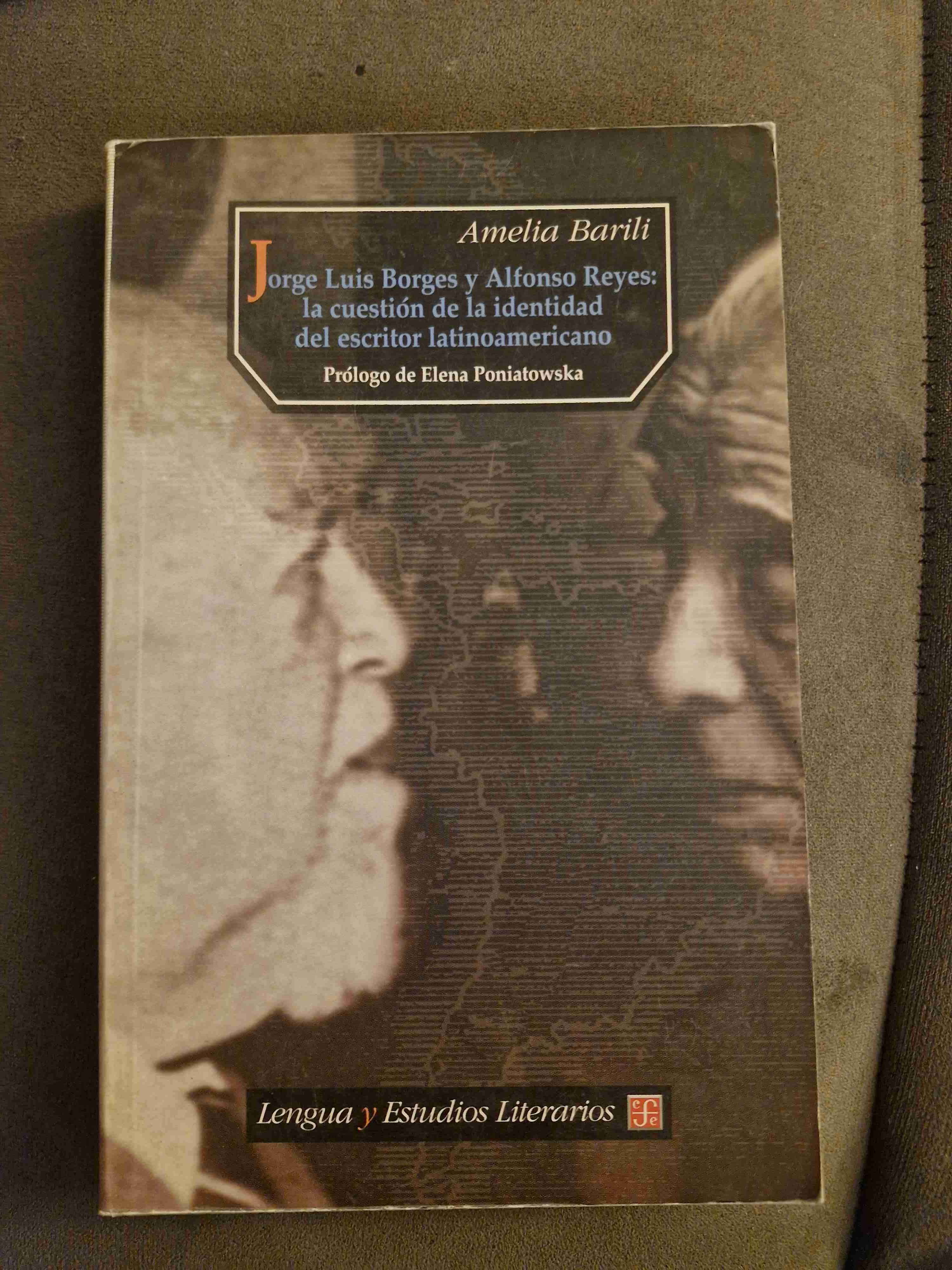 Libro sobre Borges y Reyes