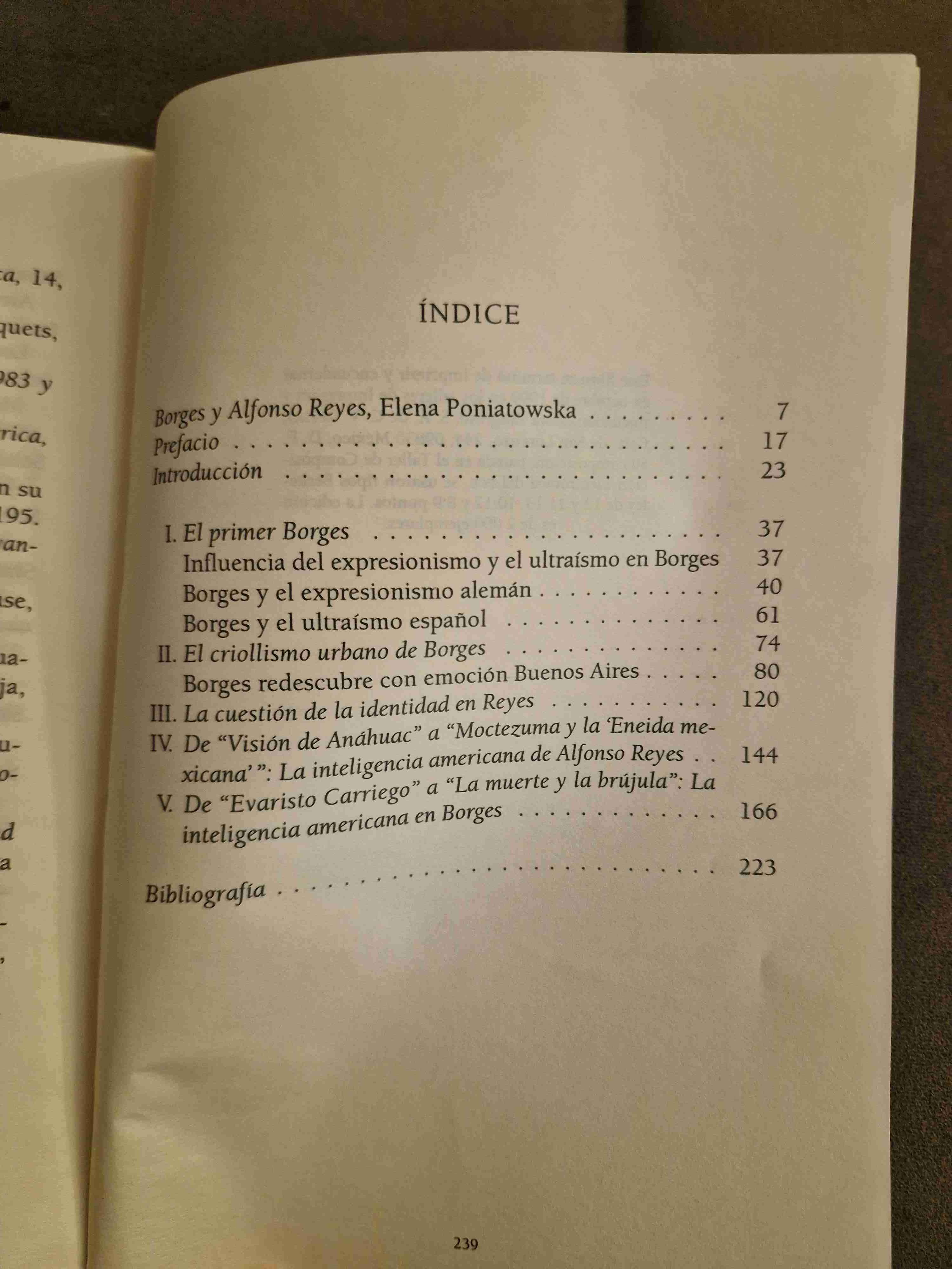 Libro sobre Borges y Reyes - miniatura 2