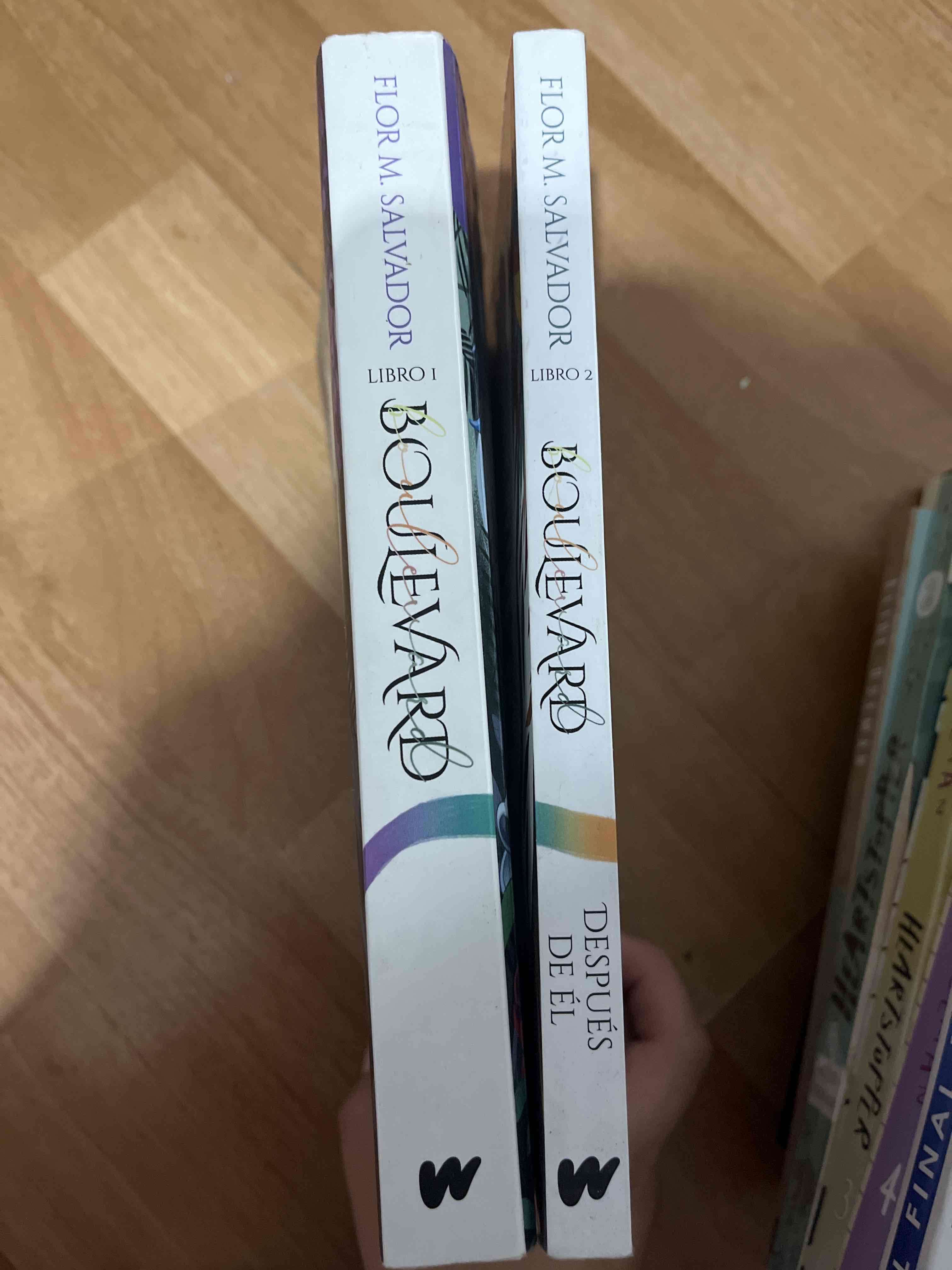 Libros 'Boulevard' Flor M. Salvador - miniatura 3