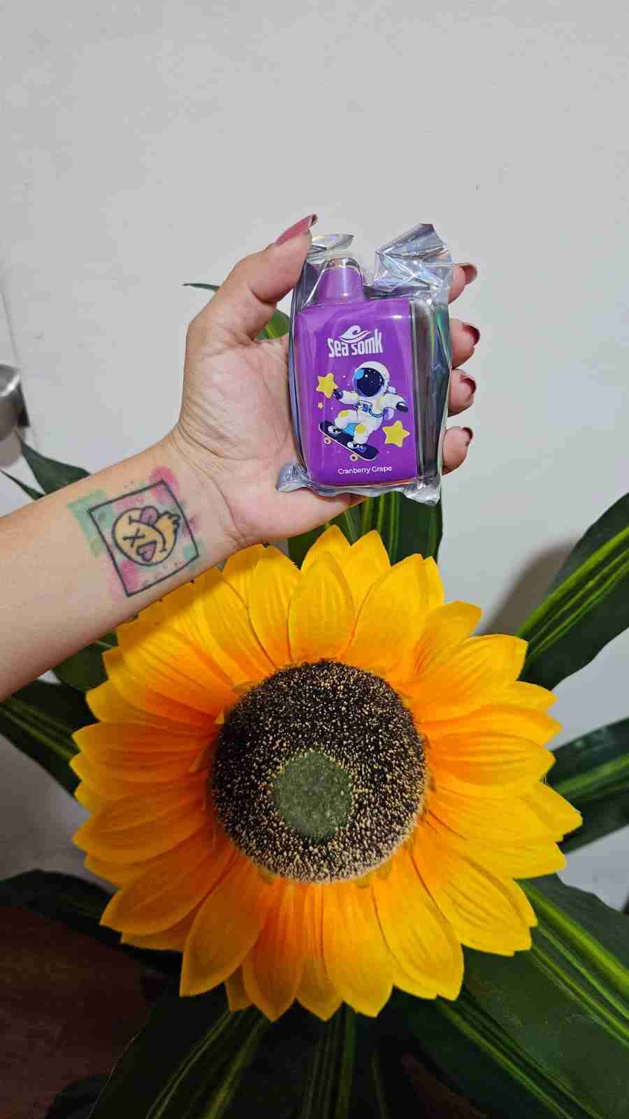 Vapes Orion Bar y Sea Somk - miniatura 3