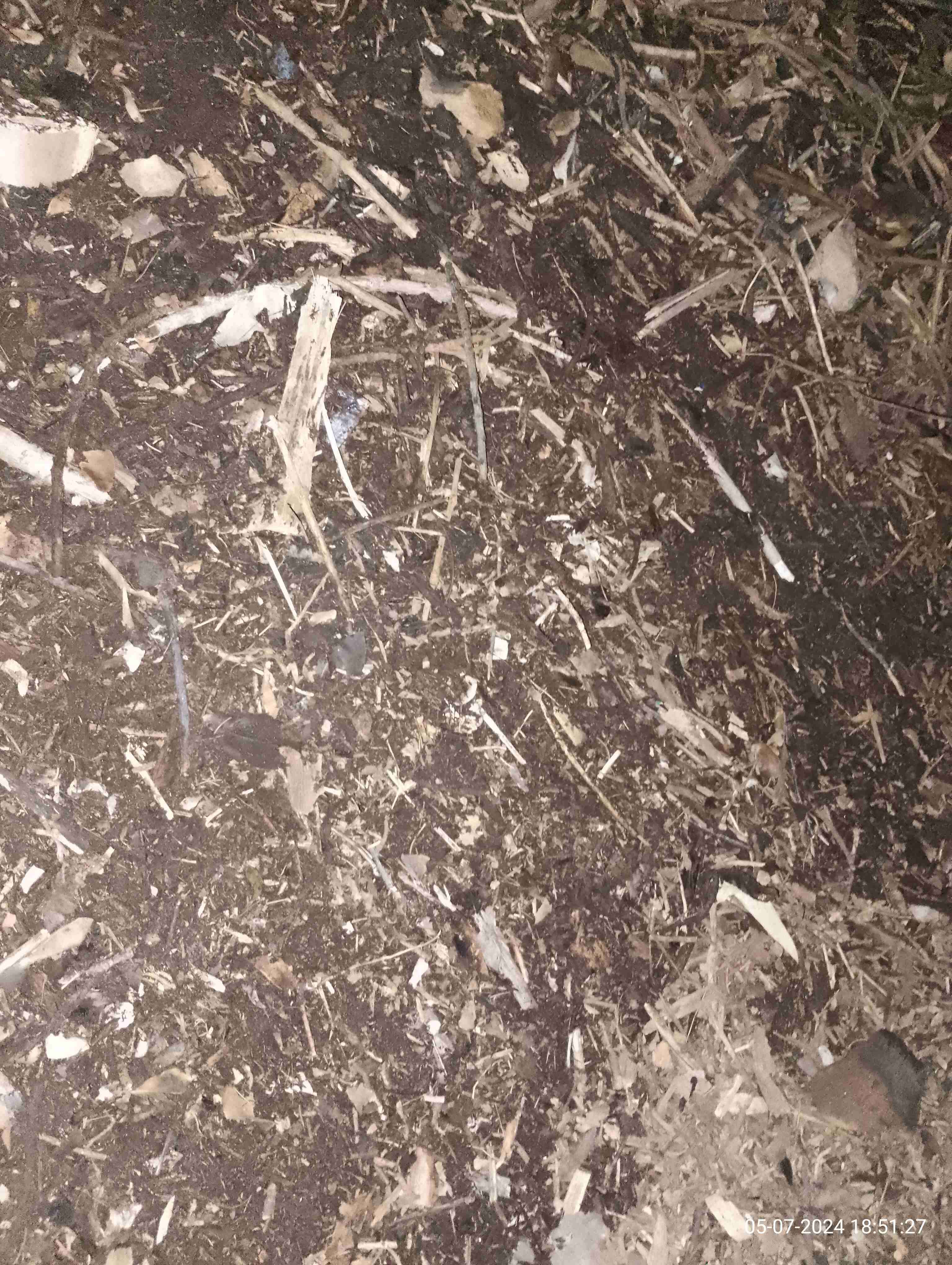 Bolsa de tierra orgánica - miniatura 4