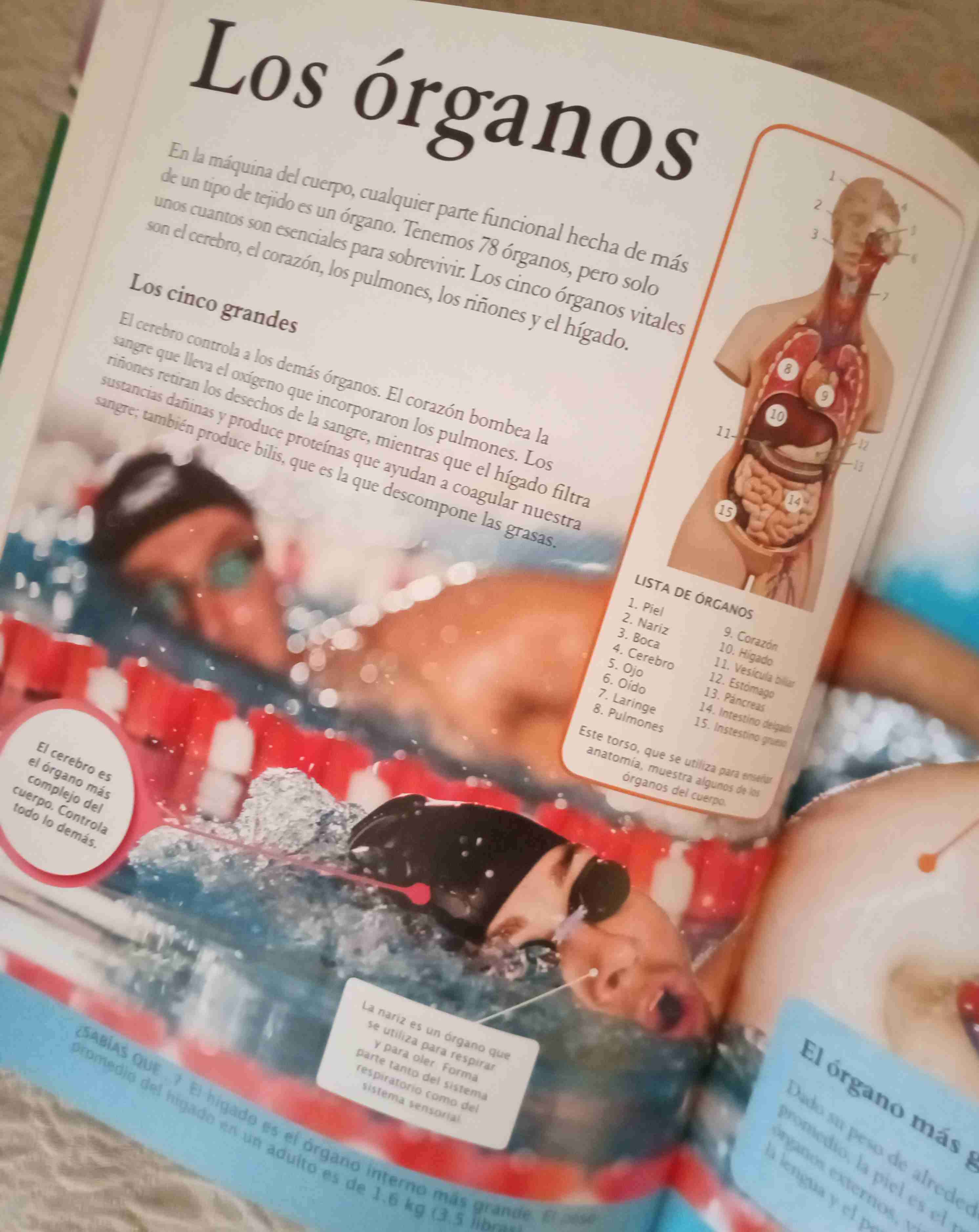 Enciclopedia para niños El Cuerpo Humano - miniatura 3