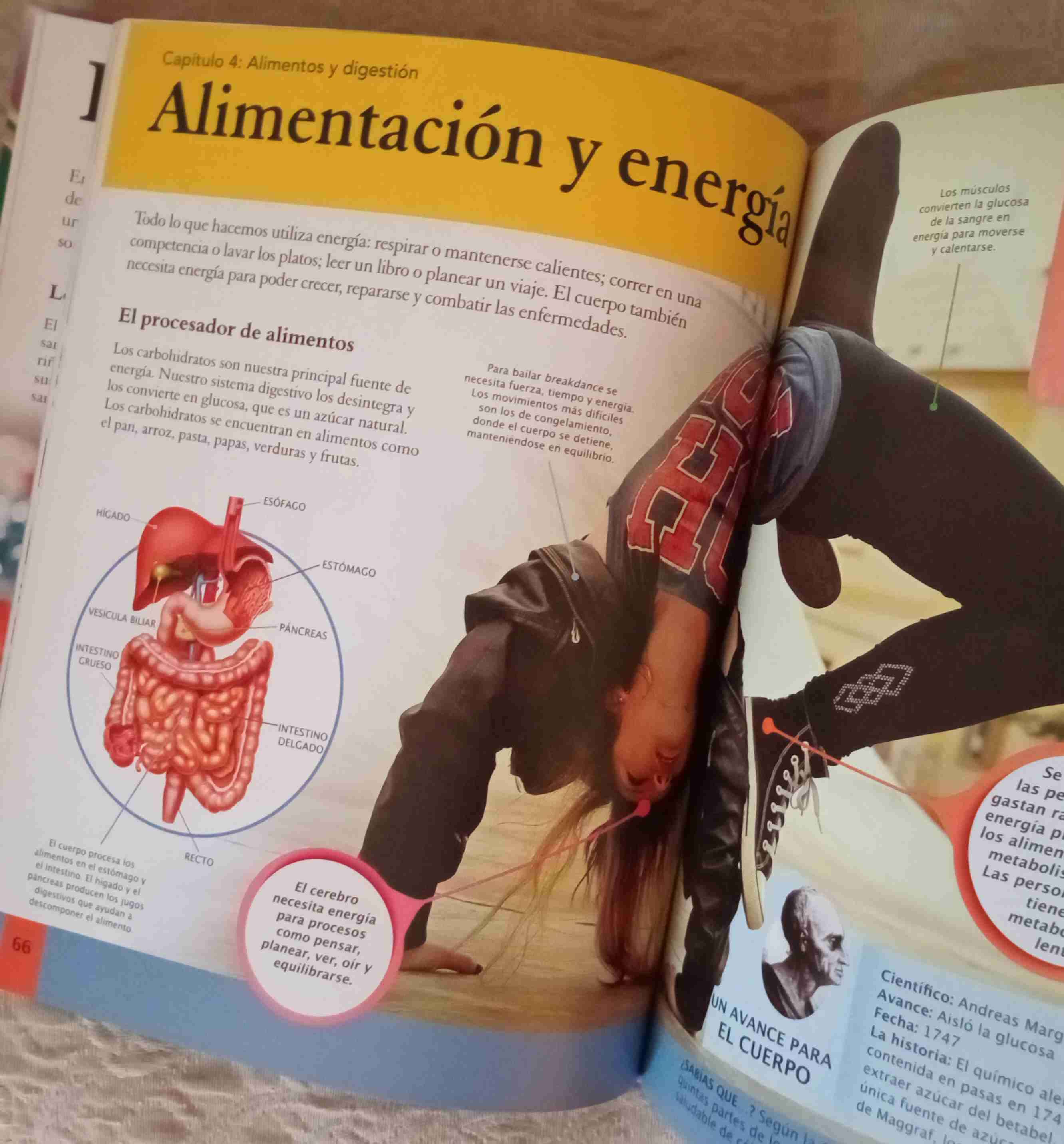 Enciclopedia para niños El Cuerpo Humano - miniatura 4