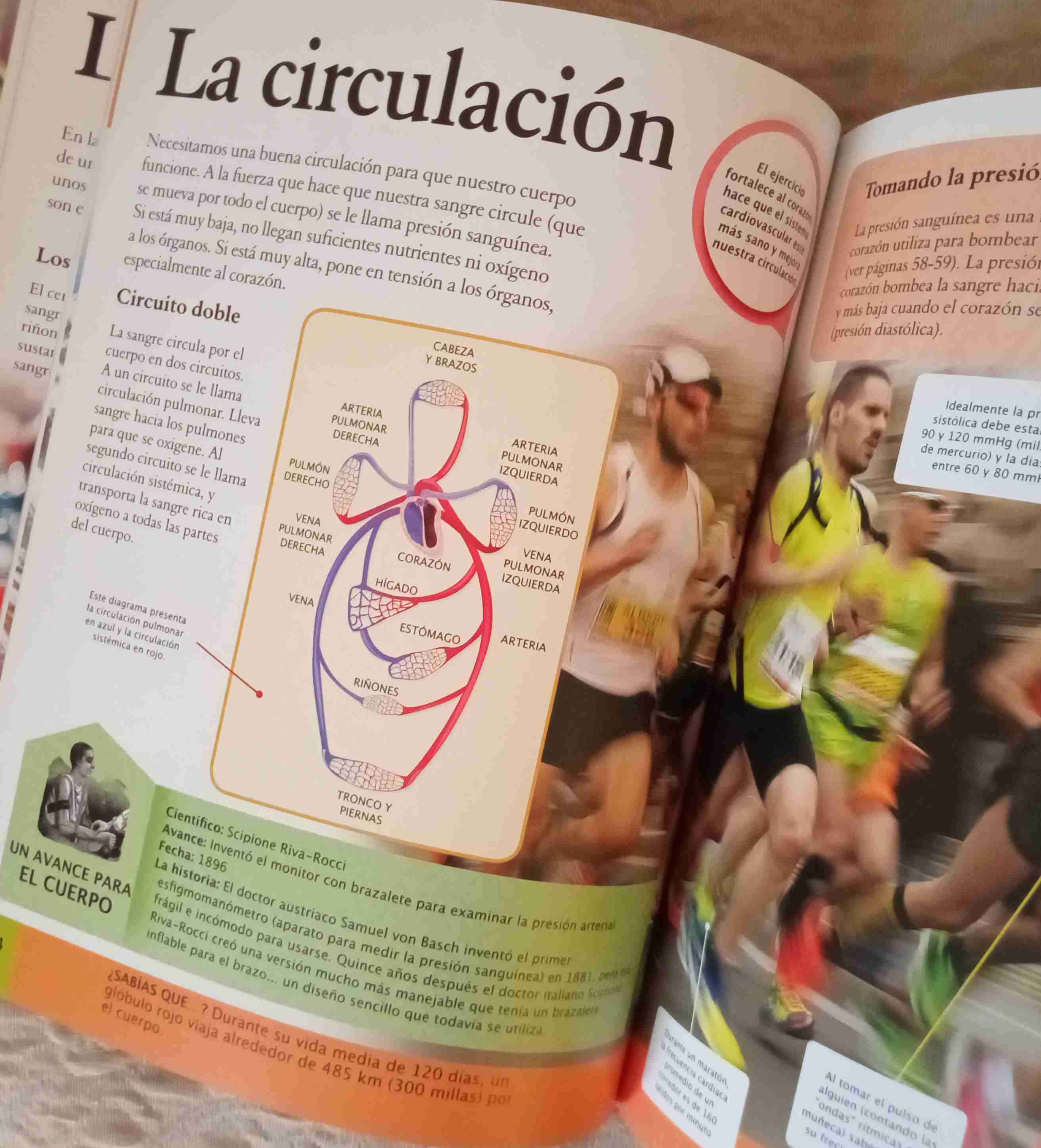 Enciclopedia para niños El Cuerpo Humano - miniatura 5