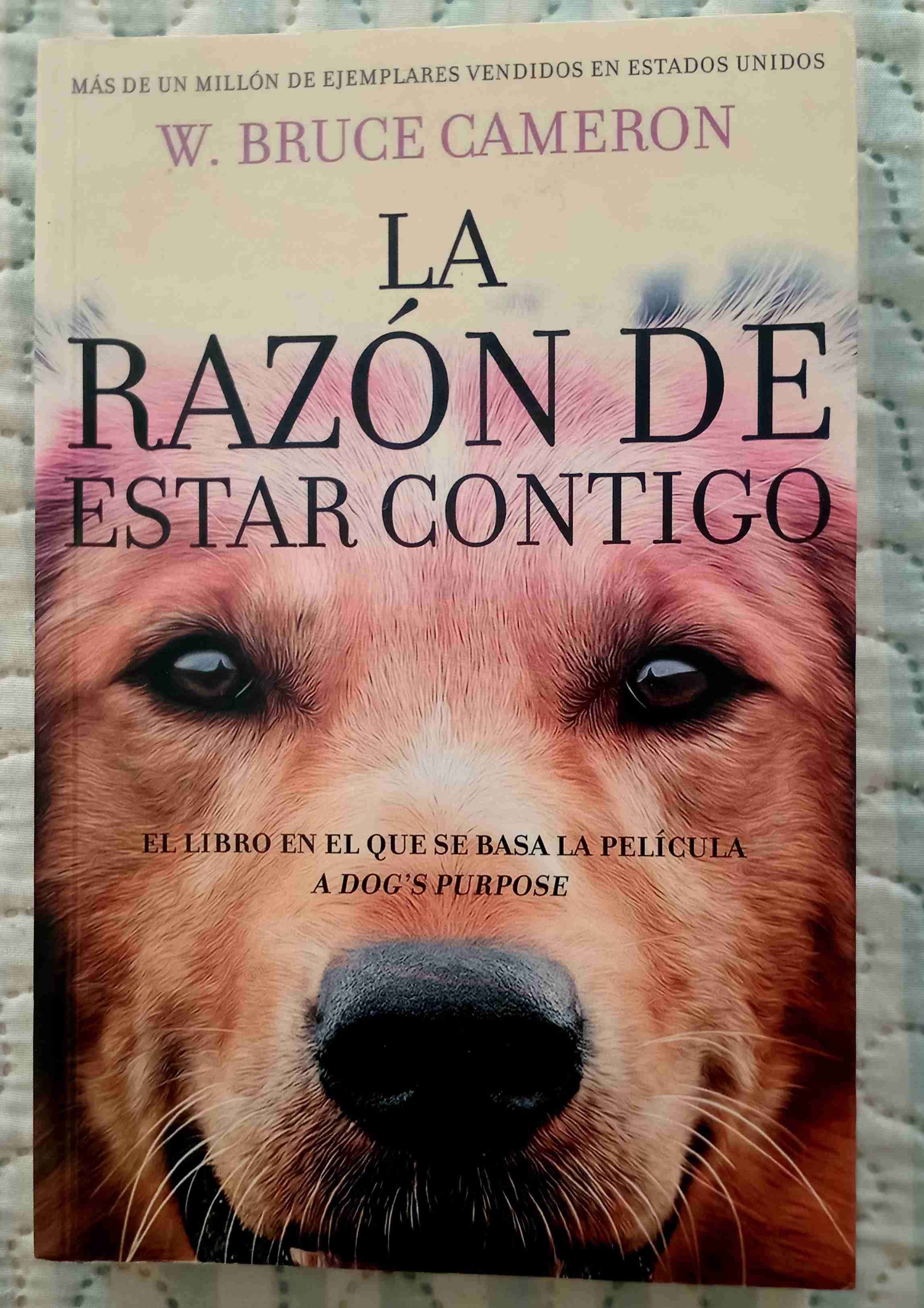 Libro 'La razón de estar contigo'