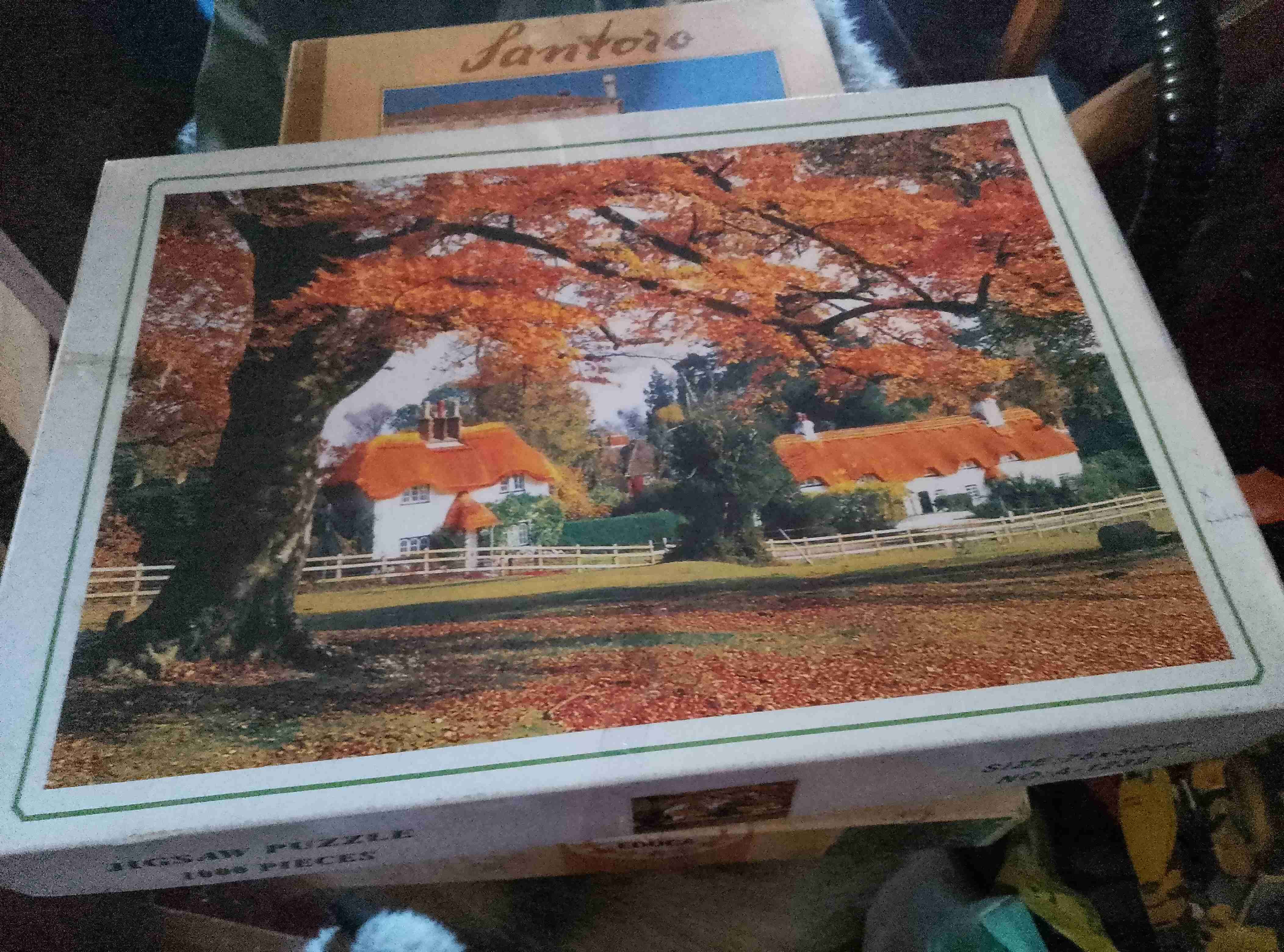 Rompecabezas Educa 1000 piezas - miniatura 3